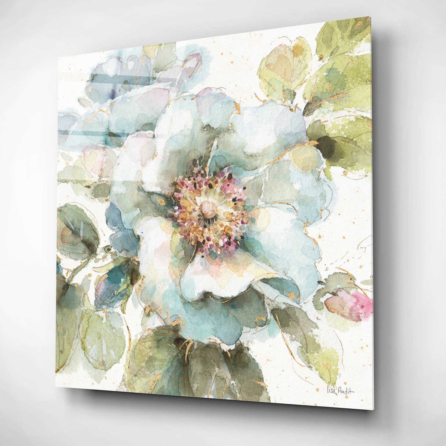 Epic Art 'Country Bloom VII' by Lisa Audit, Acrylic Glass Wall Art,12x12