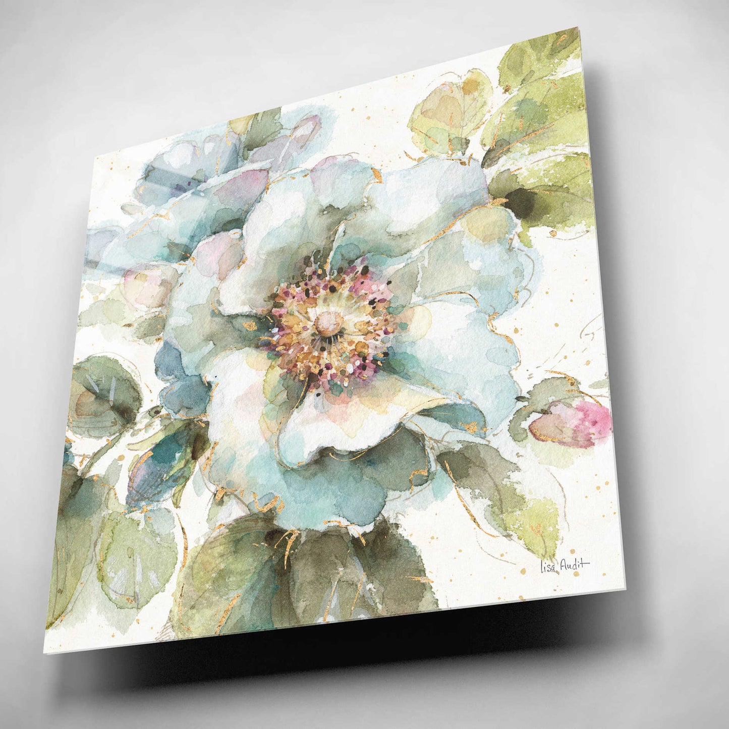 Epic Art 'Country Bloom VII' by Lisa Audit, Acrylic Glass Wall Art,12x12