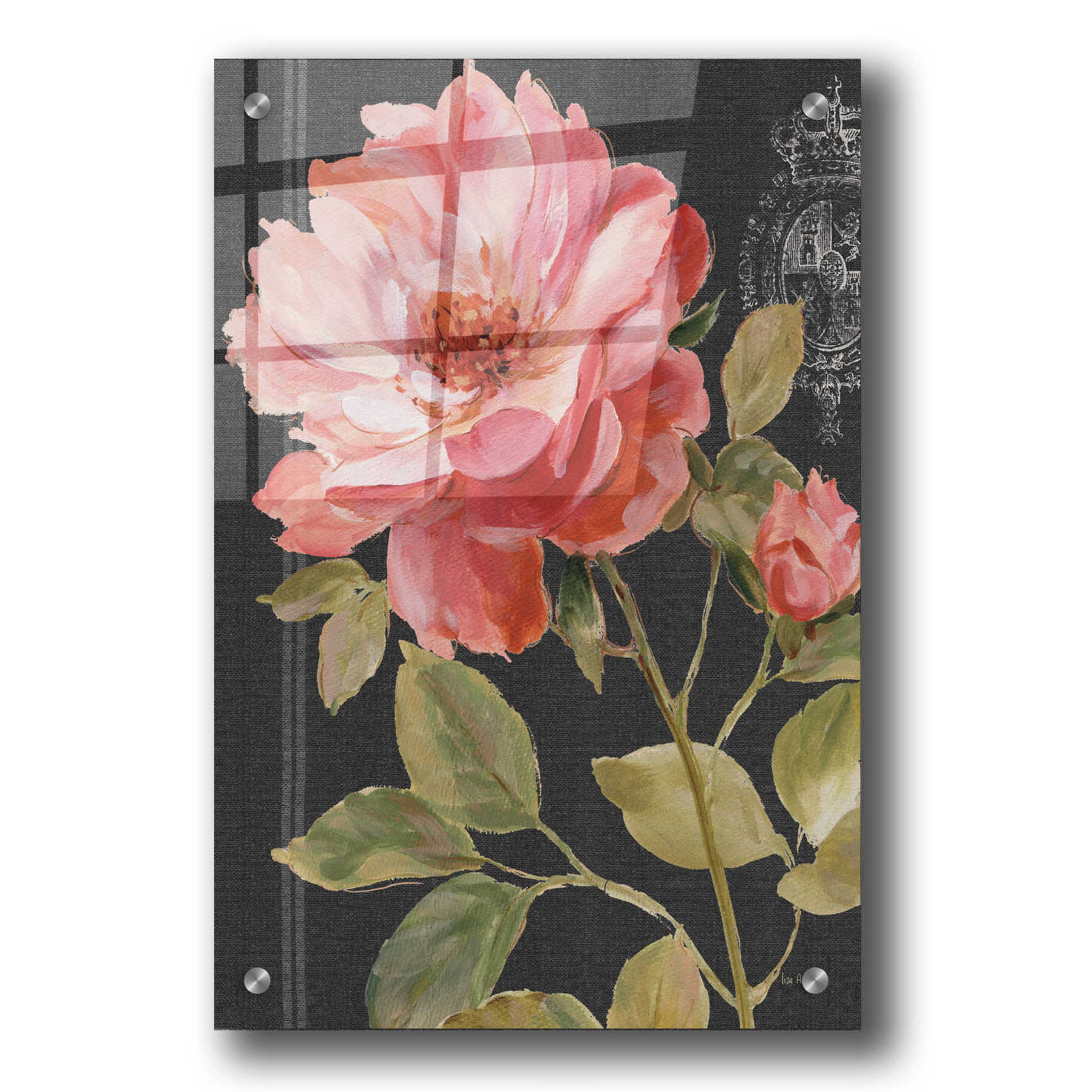 Epic Art 'Harmonious Rose Black' by Lisa Audit, Acrylic Glass Wall Art,24x36