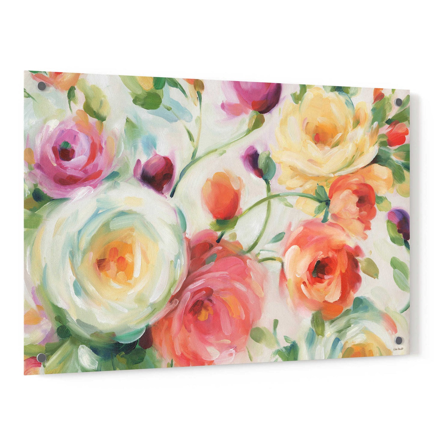 Epic Art 'Florabundance I' by Lisa Audit, Acrylic Glass Wall Art,36x24