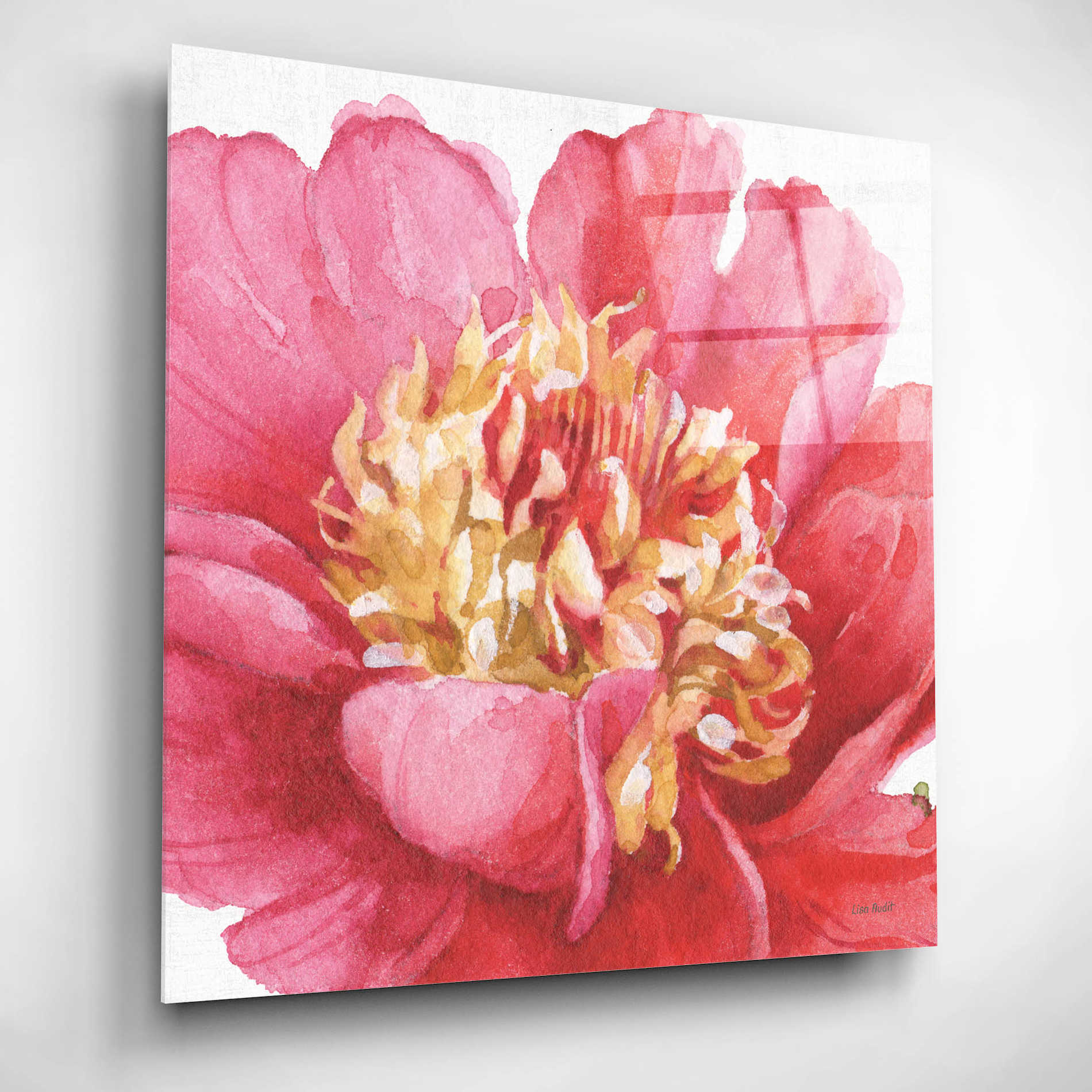 Epic Art 'Pink Garden V' by Lisa Audit, Acrylic Glass Wall Art,12x12