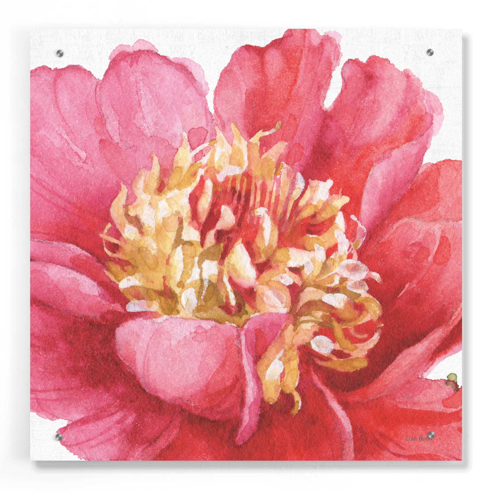 Epic Art 'Pink Garden V' by Lisa Audit, Acrylic Glass Wall Art,24x24