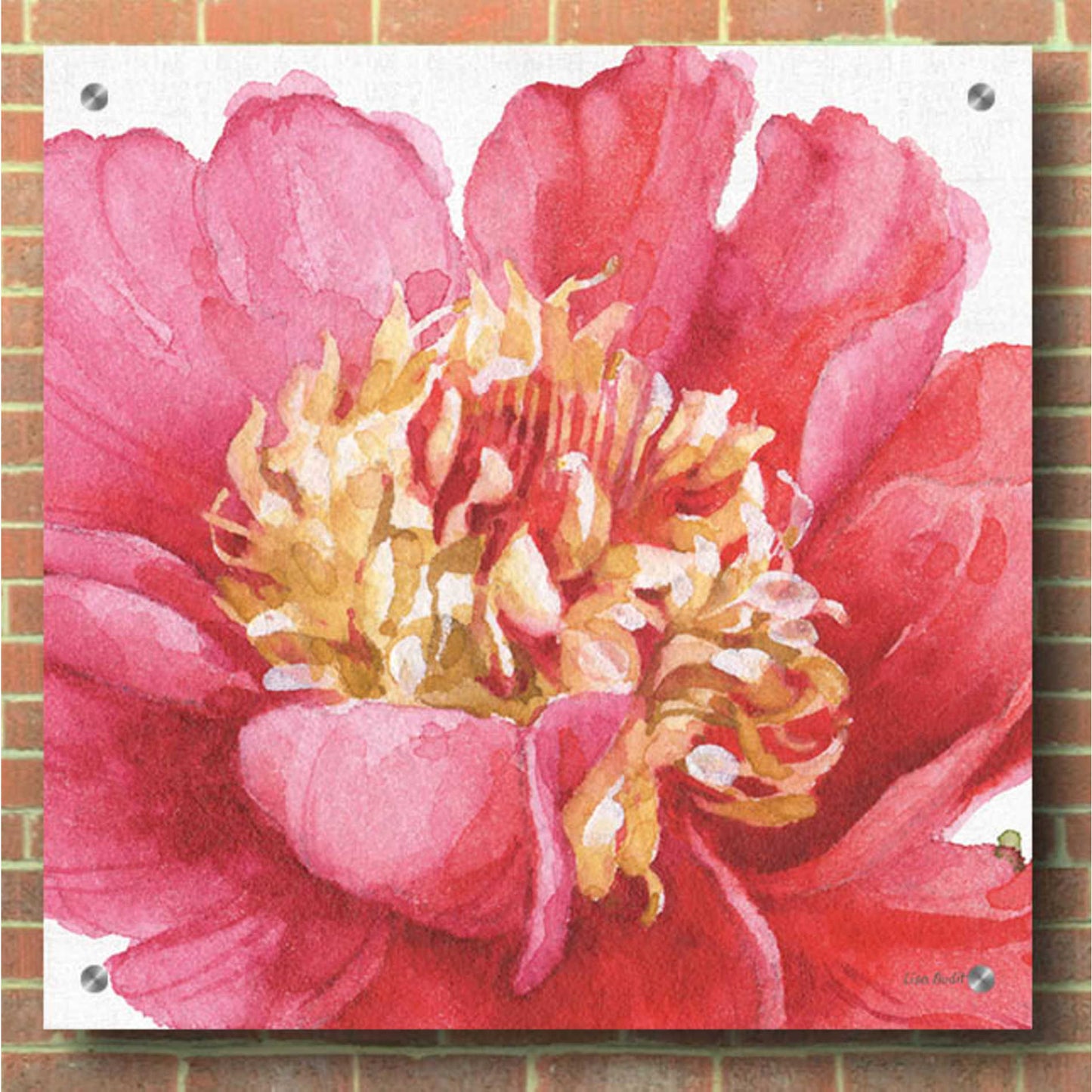 Epic Art 'Pink Garden V' by Lisa Audit, Acrylic Glass Wall Art,36x36