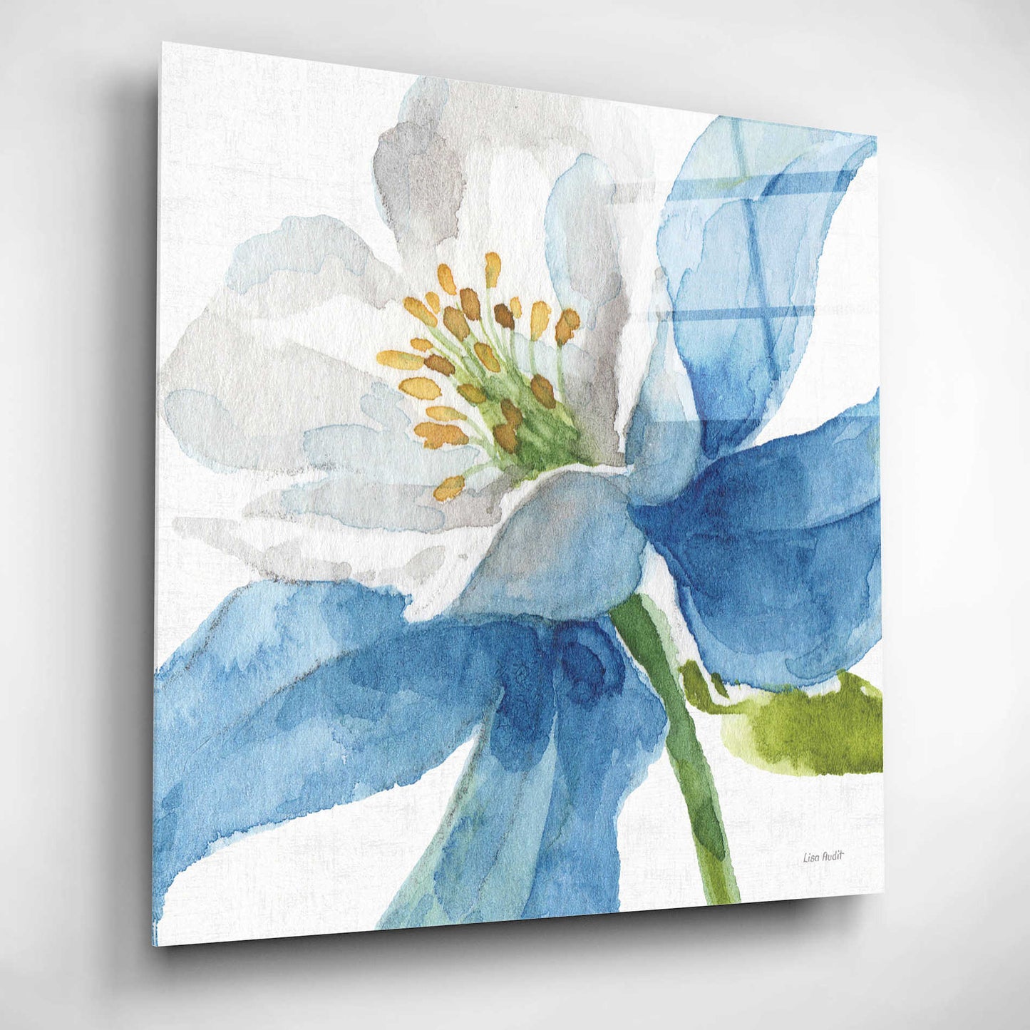 Epic Art 'Blue and Green Garden VI' by Lisa Audit, Acrylic Glass Wall Art,12x12