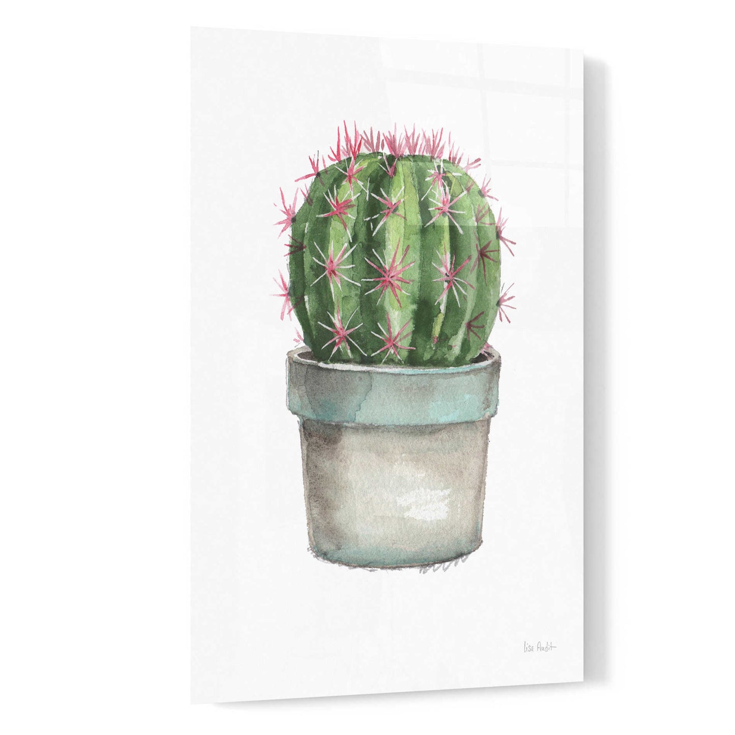 Epic Art 'Mixed Greens Succulent II' by Lisa Audit, Acrylic Glass Wall Art,16x24