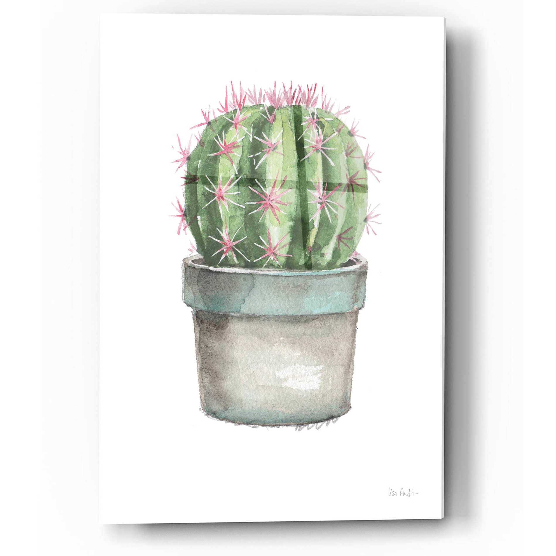 Epic Art 'Mixed Greens Succulent II' by Lisa Audit, Acrylic Glass Wall Art