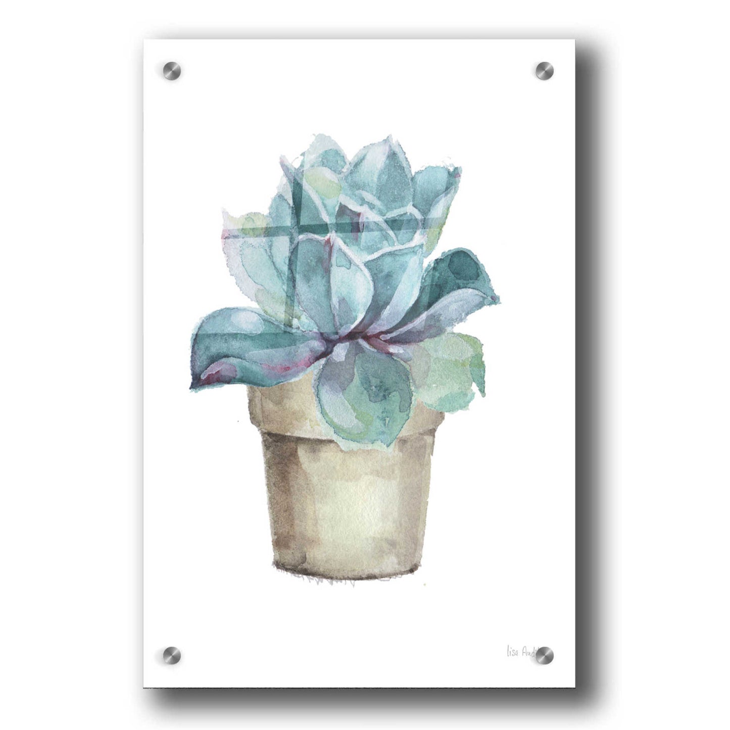 Epic Art 'Mixed Greens Succulent IV' by Lisa Audit, Acrylic Glass Wall Art,24x36