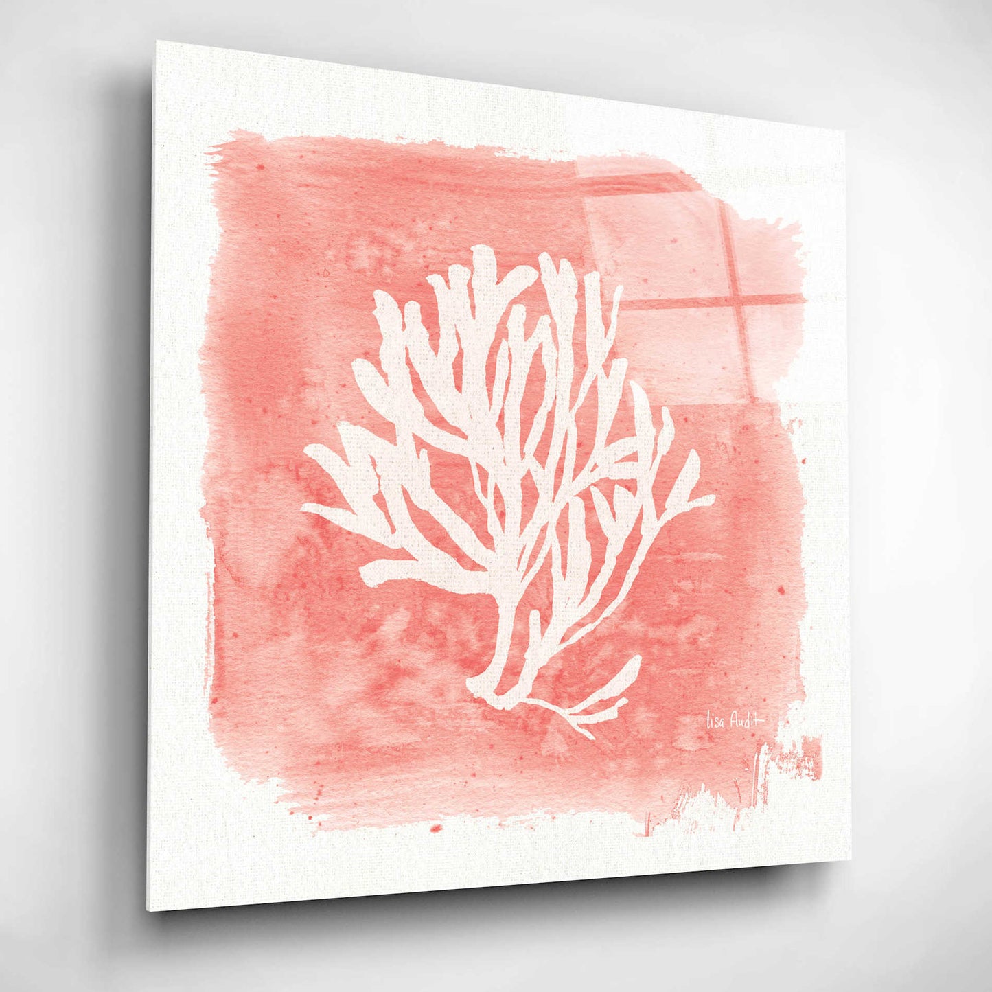 Epic Art 'Water Coral Cove III' by Lisa Audit, Acrylic Glass Wall Art,12x12