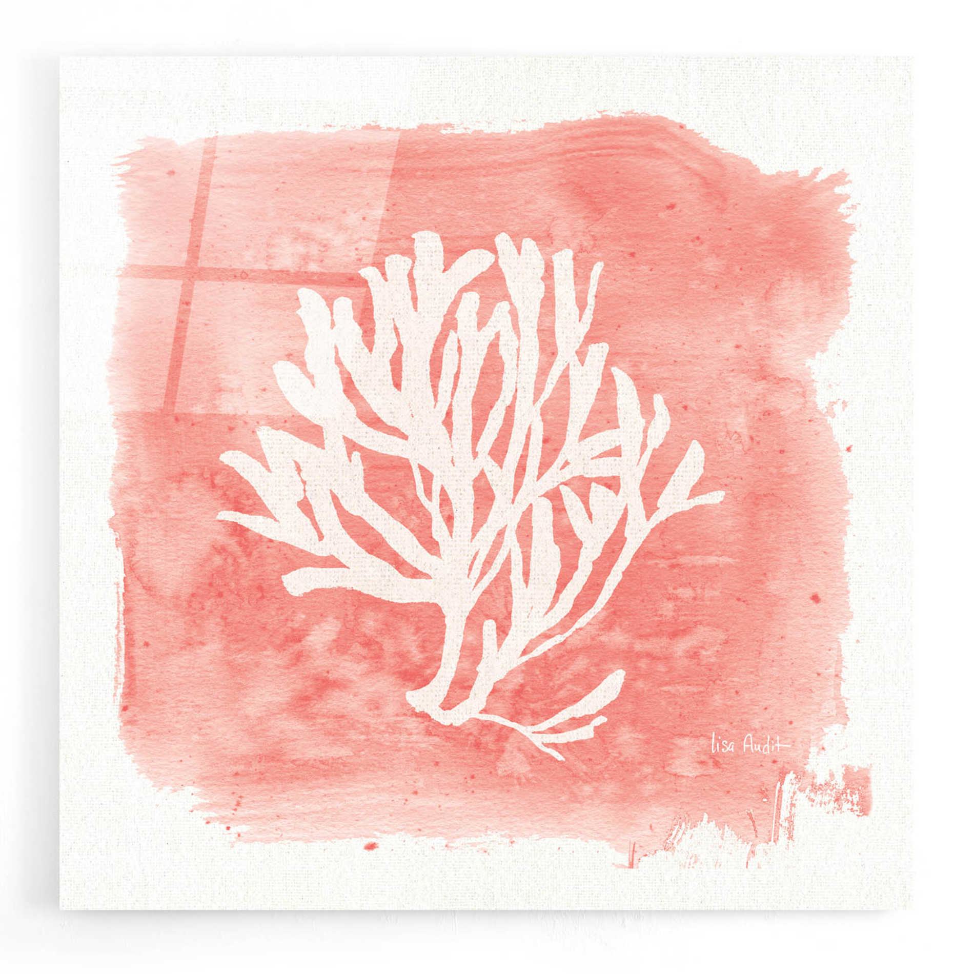 Epic Art 'Water Coral Cove III' by Lisa Audit, Acrylic Glass Wall Art,12x12