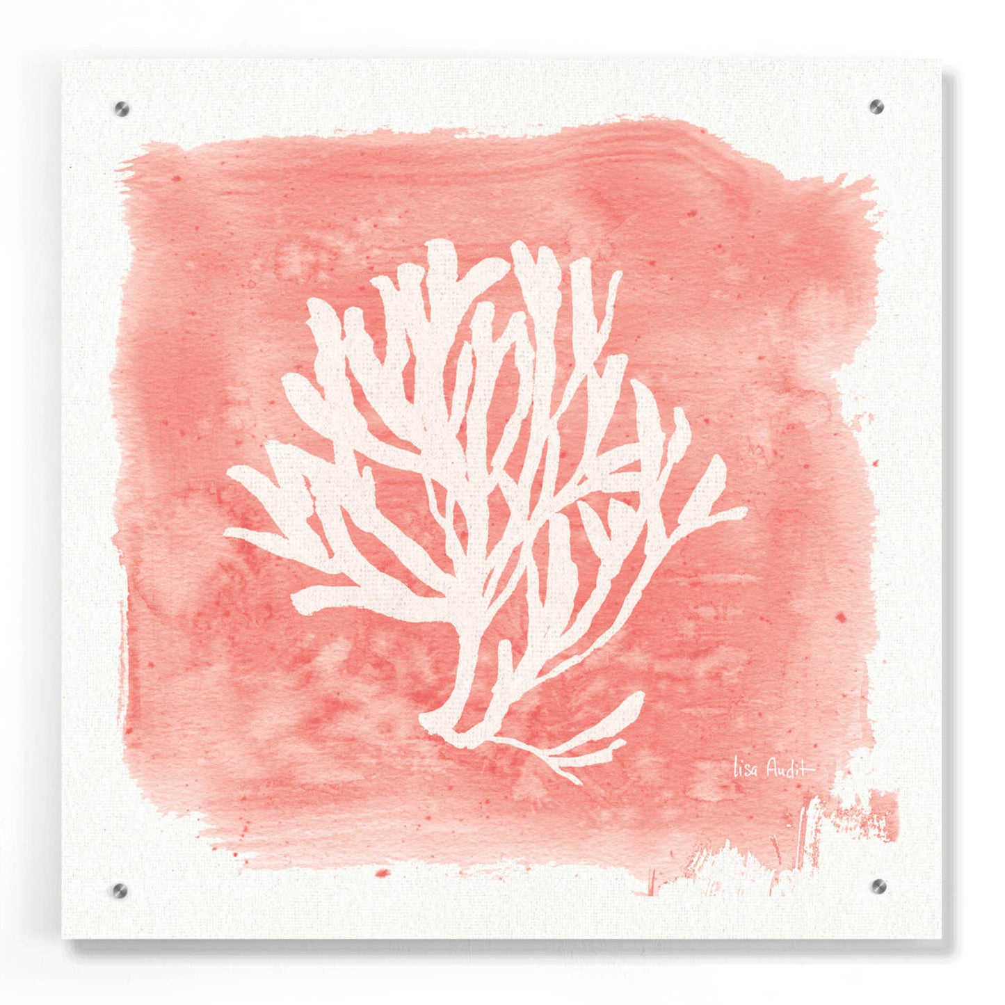 Epic Art 'Water Coral Cove III' by Lisa Audit, Acrylic Glass Wall Art,24x24