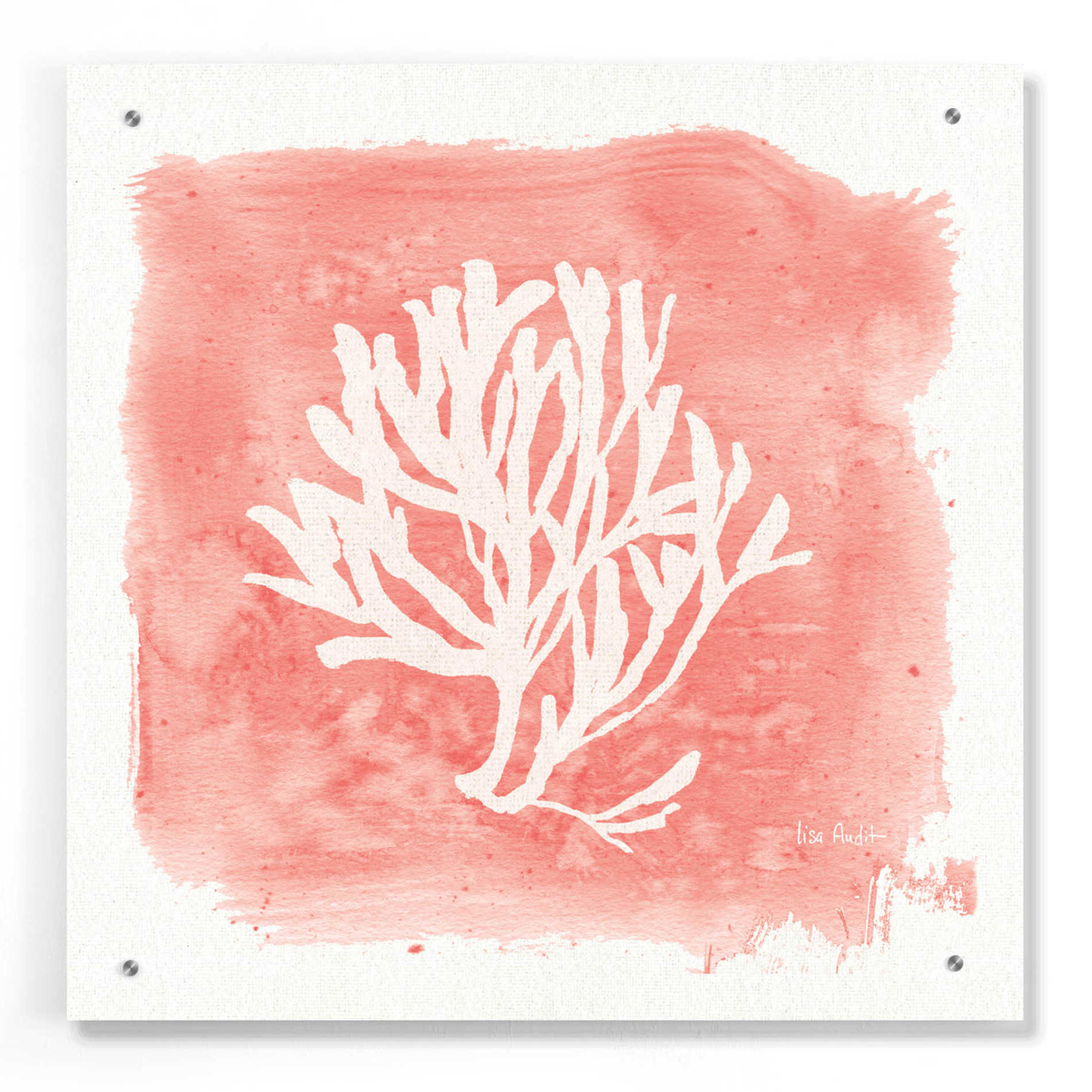 Epic Art 'Water Coral Cove III' by Lisa Audit, Acrylic Glass Wall Art,24x24