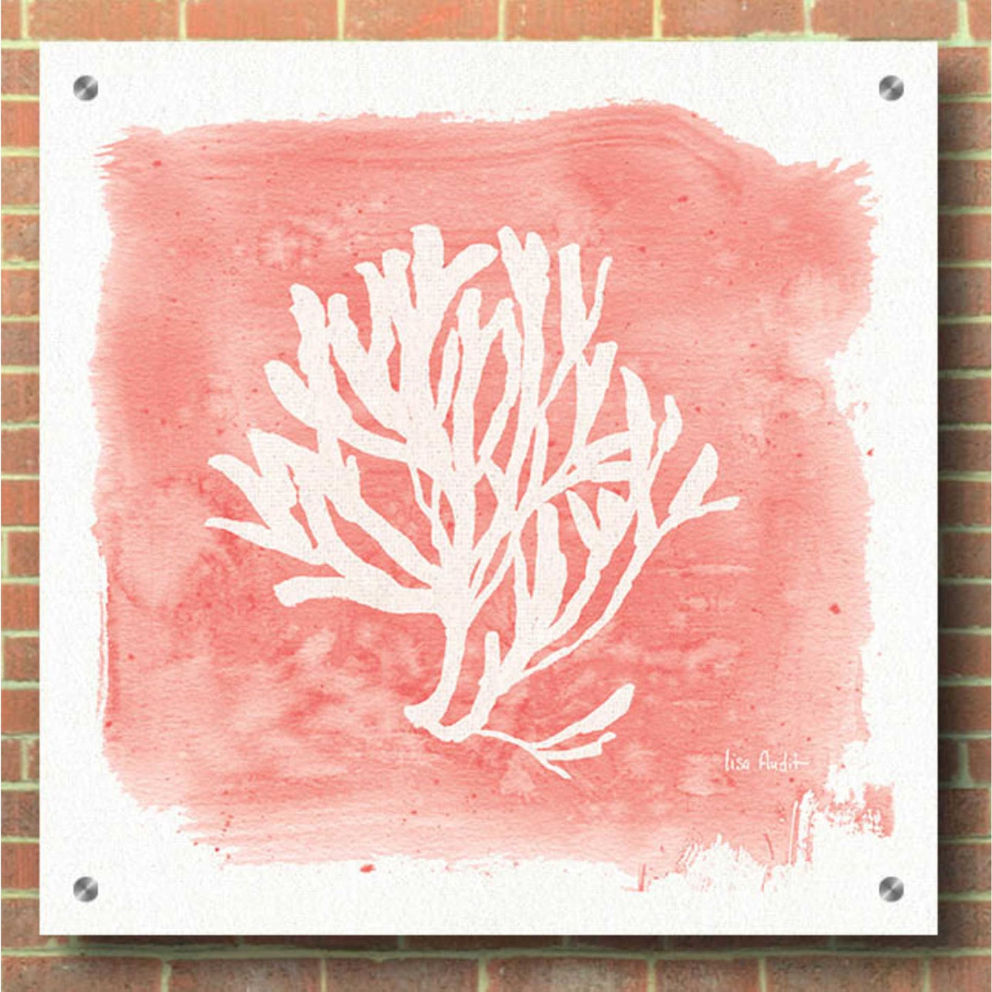 Epic Art 'Water Coral Cove III' by Lisa Audit, Acrylic Glass Wall Art,36x36