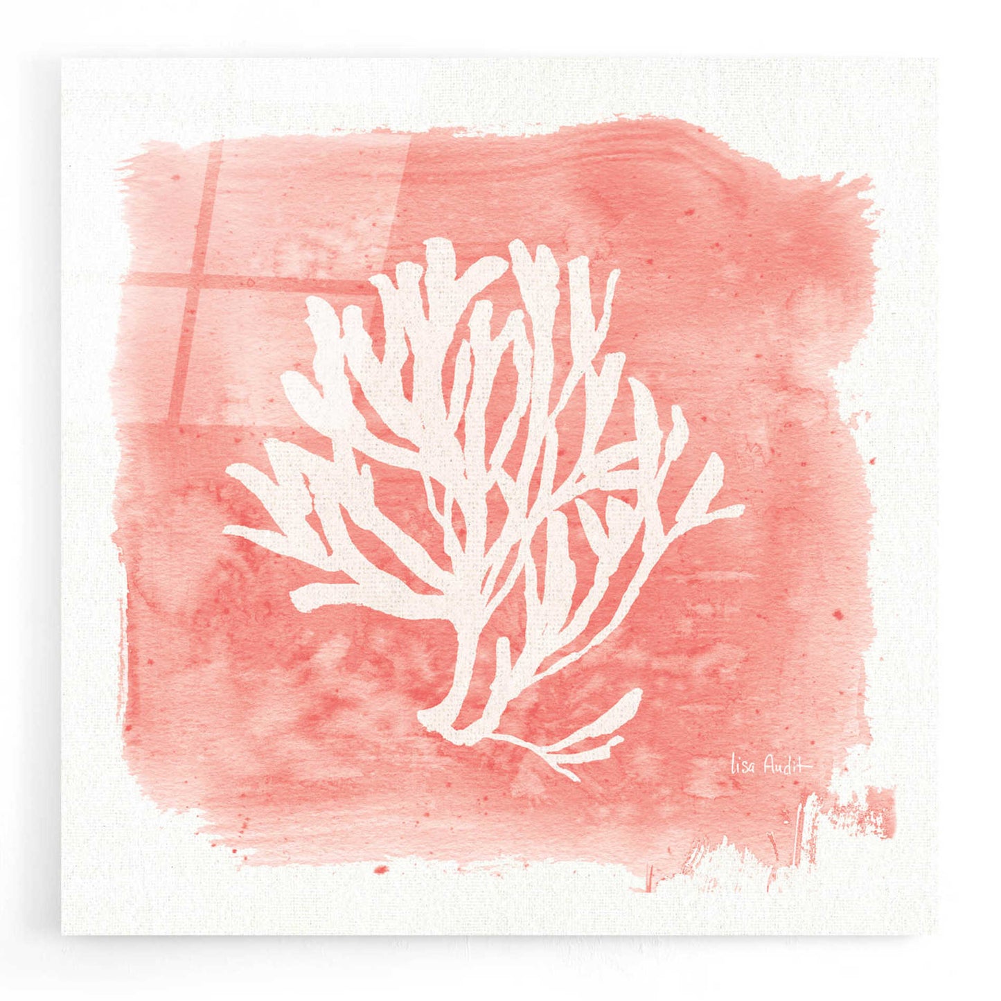 Epic Art 'Water Coral Cove III' by Lisa Audit, Acrylic Glass Wall Art