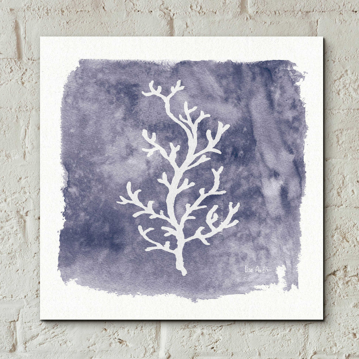 Epic Art 'Water Coral Cove IV' by Lisa Audit, Acrylic Glass Wall Art,12x12