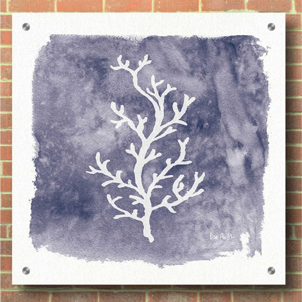 Epic Art 'Water Coral Cove IV' by Lisa Audit, Acrylic Glass Wall Art,36x36