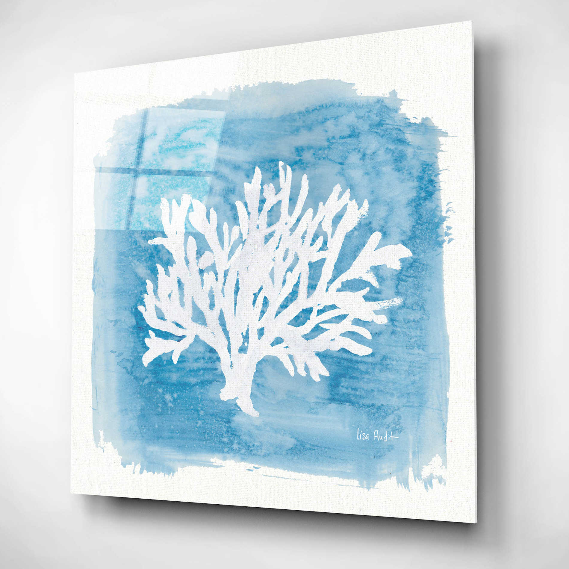 Epic Art 'Water Coral Cove VI' by Lisa Audit, Acrylic Glass Wall Art,12x12