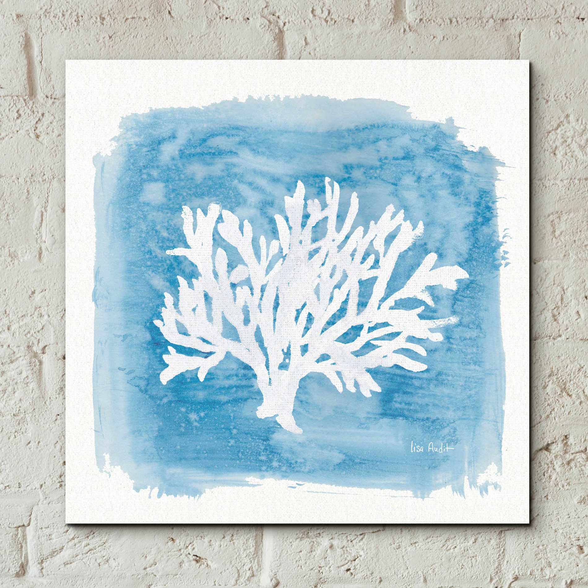 Epic Art 'Water Coral Cove VI' by Lisa Audit, Acrylic Glass Wall Art,12x12