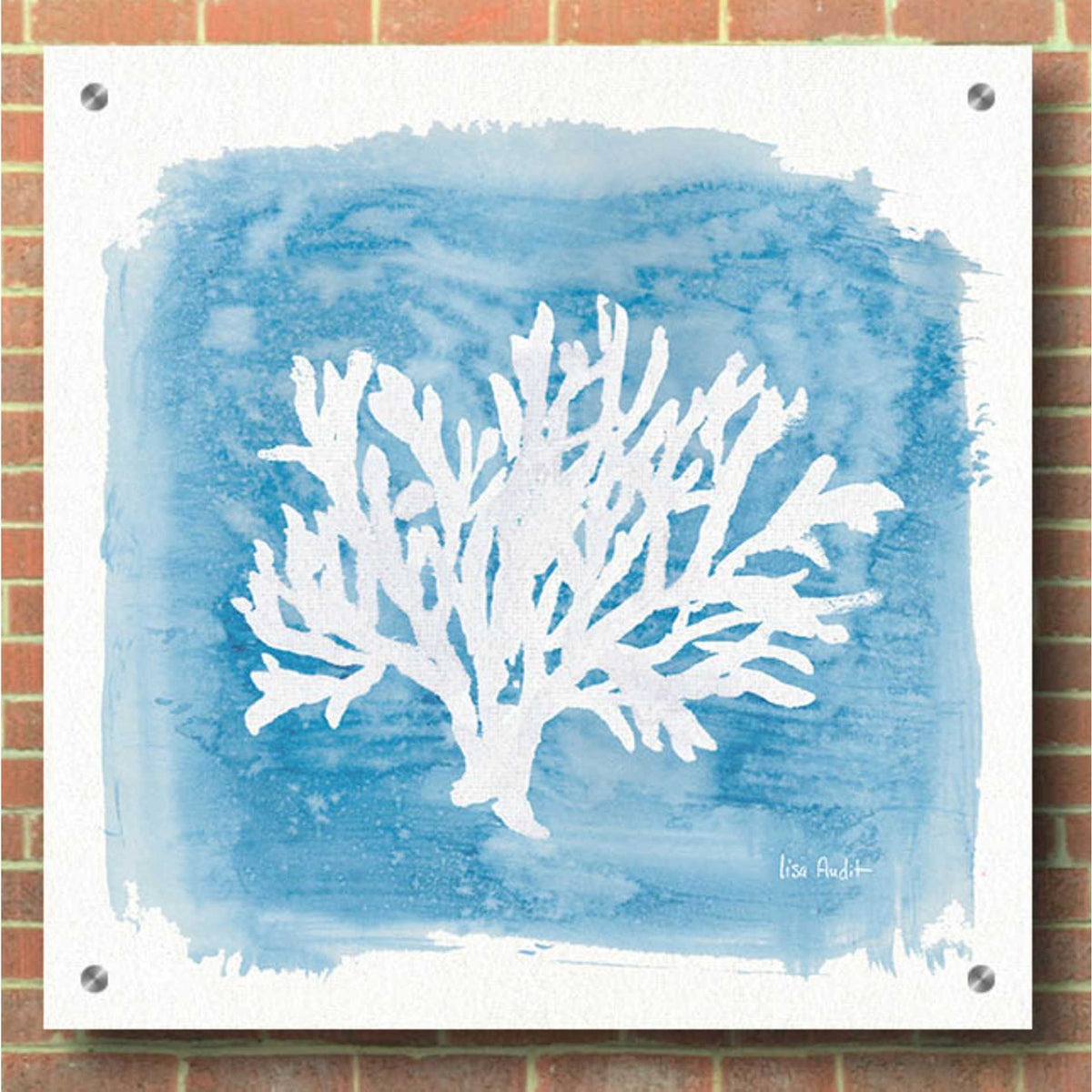 Epic Art 'Water Coral Cove VI' by Lisa Audit, Acrylic Glass Wall Art,36x36