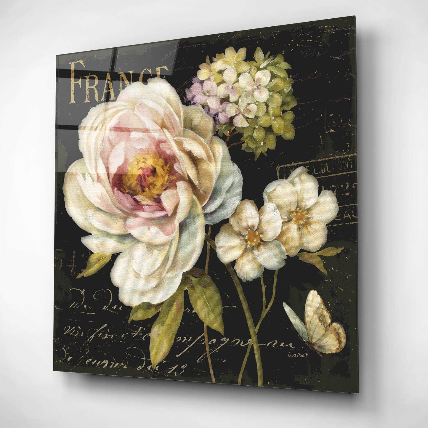 Epic Art 'Marche de Fleurs on Black' by Lisa Audit, Acrylic Glass Wall Art,12x12