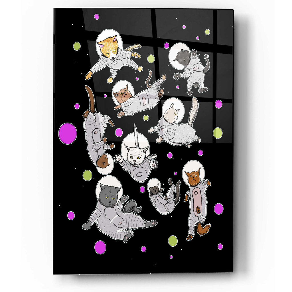 Epic Art 'Space Cats' by Craig Snodgrass, Acrylic Glass Wall Art