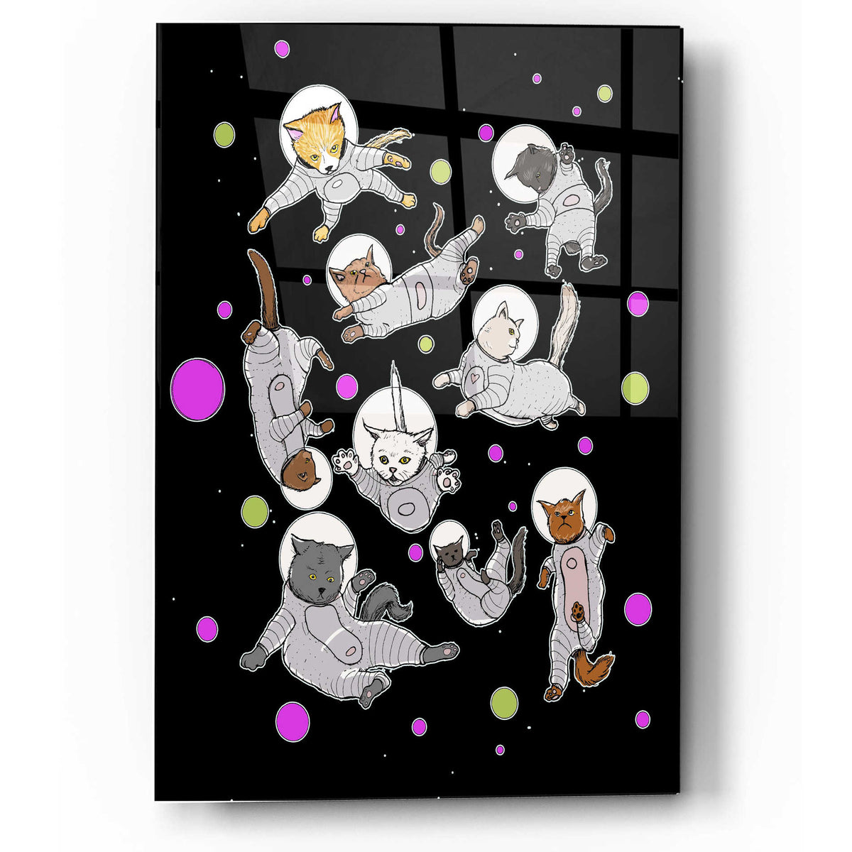 Epic Art 'Space Cats' by Craig Snodgrass, Acrylic Glass Wall Art