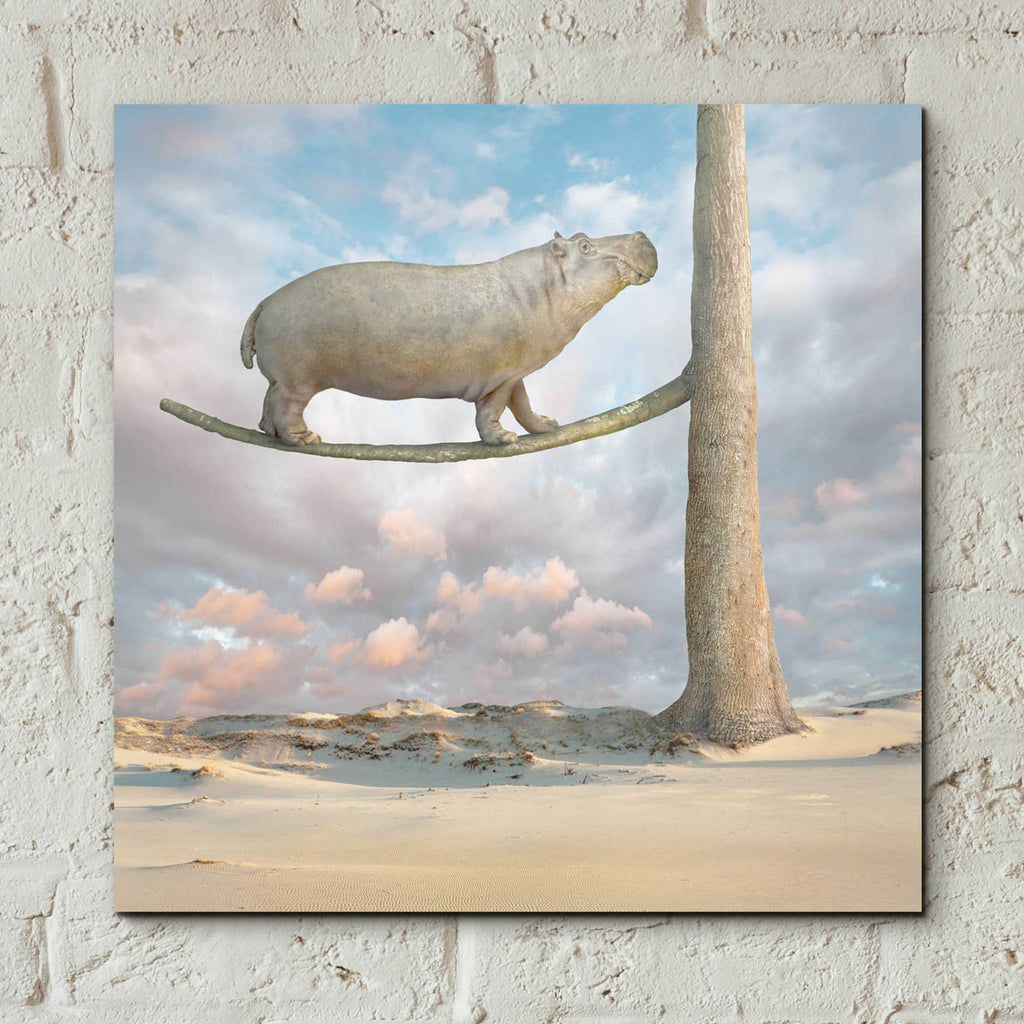 Epic Art 'Equilibrium' by Dariusz Klimczak Acrylic Glass Wall Art,12x12