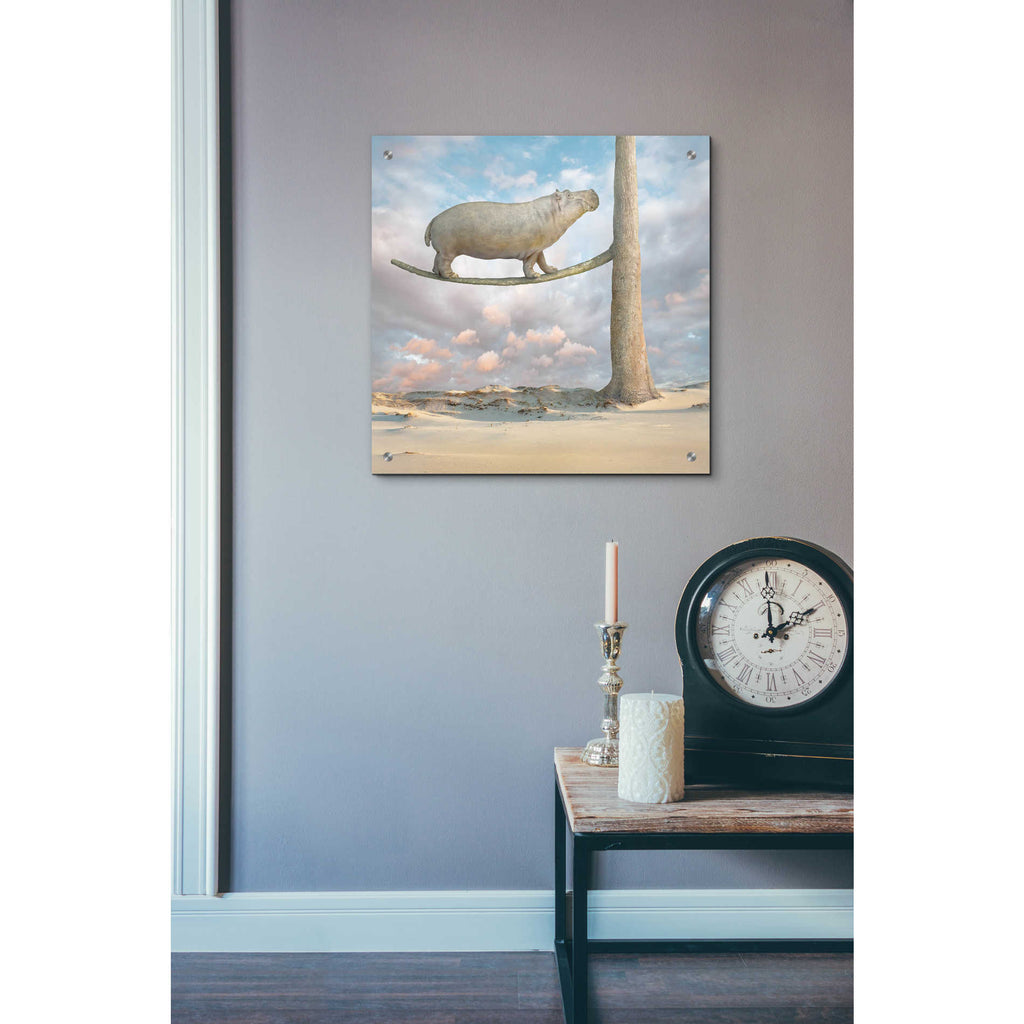 Epic Art 'Equilibrium' by Dariusz Klimczak Acrylic Glass Wall Art,24x24