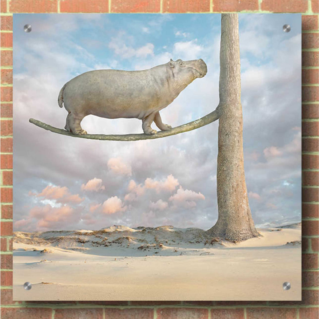 Epic Art 'Equilibrium' by Dariusz Klimczak Acrylic Glass Wall Art,36x36
