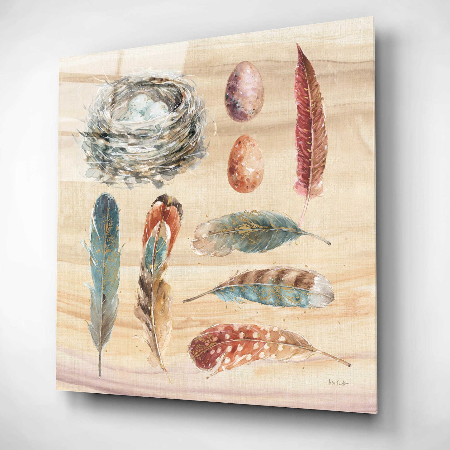 Epic Art 'Spiced Nature X' by Lisa Audit, Acrylic Glass Wall Art,12x12