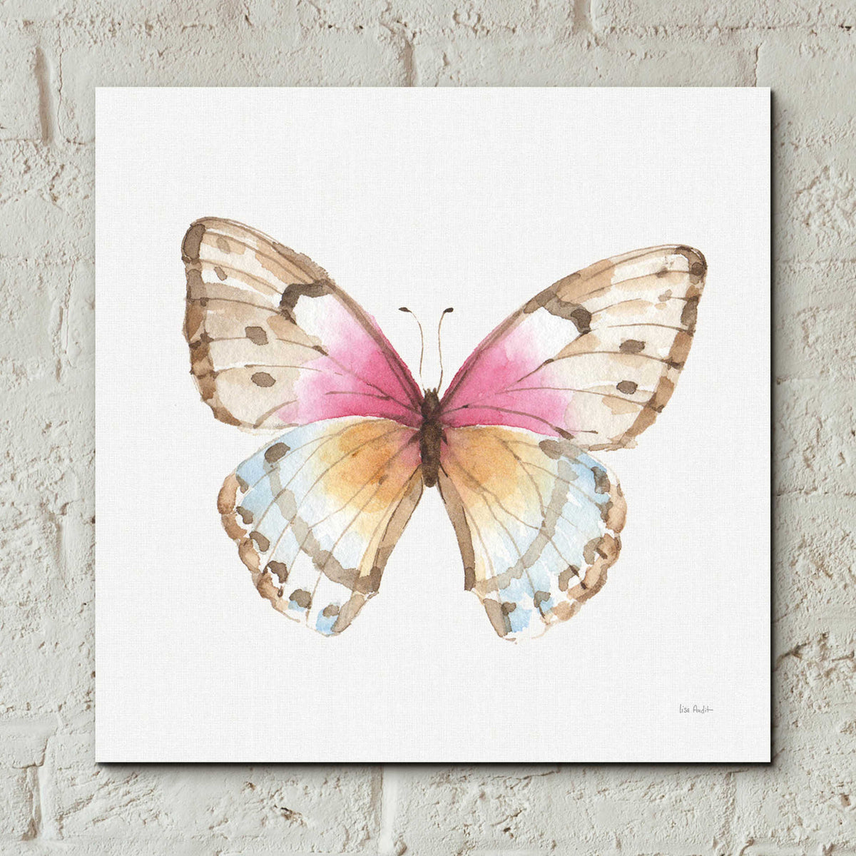 Epic Art 'Colorful Breeze XI' by Lisa Audit, Acrylic Glass Wall Art,12x12