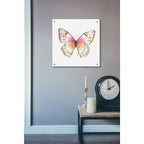 Epic Art 'Colorful Breeze XI' by Lisa Audit, Acrylic Glass Wall Art,24x24