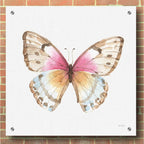 Epic Art 'Colorful Breeze XI' by Lisa Audit, Acrylic Glass Wall Art,36x36