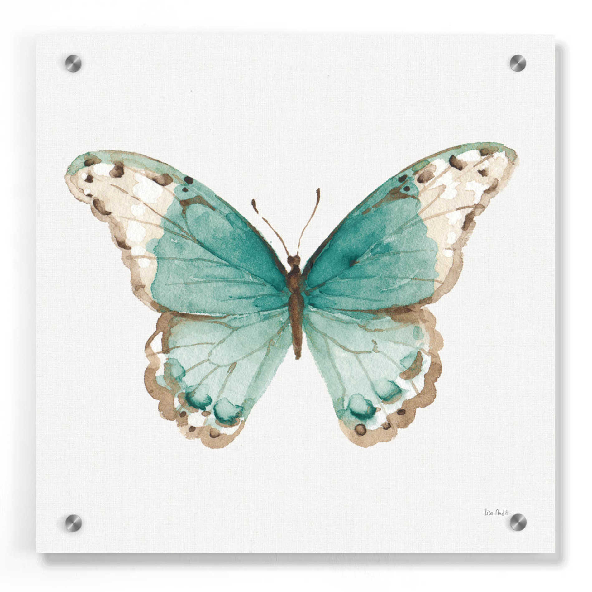 Epic Art 'Colorful Breeze XII with Teal' by Lisa Audit, Acrylic Glass Wall Art,36x36