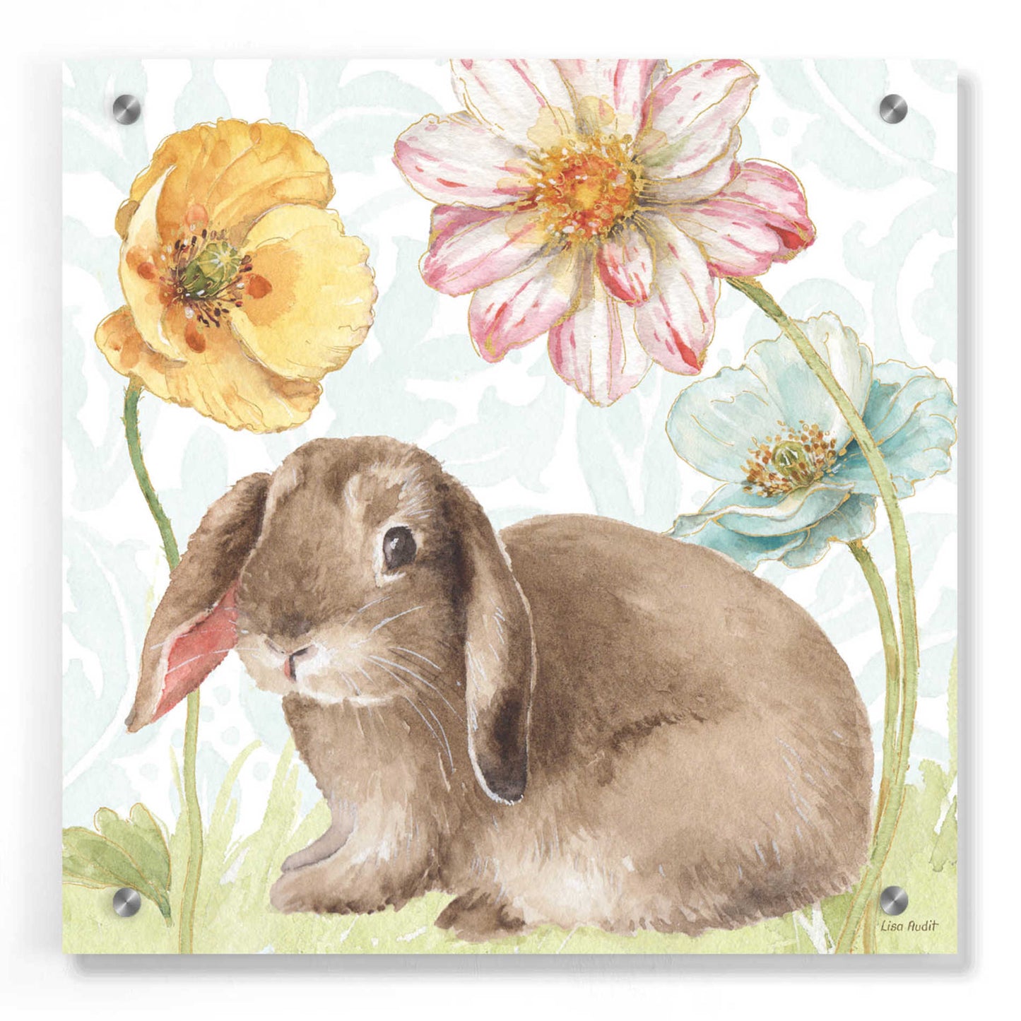 Epic Art 'Spring Softies Bunnies III' by Lisa Audit, Acrylic Glass Wall Art,36x36