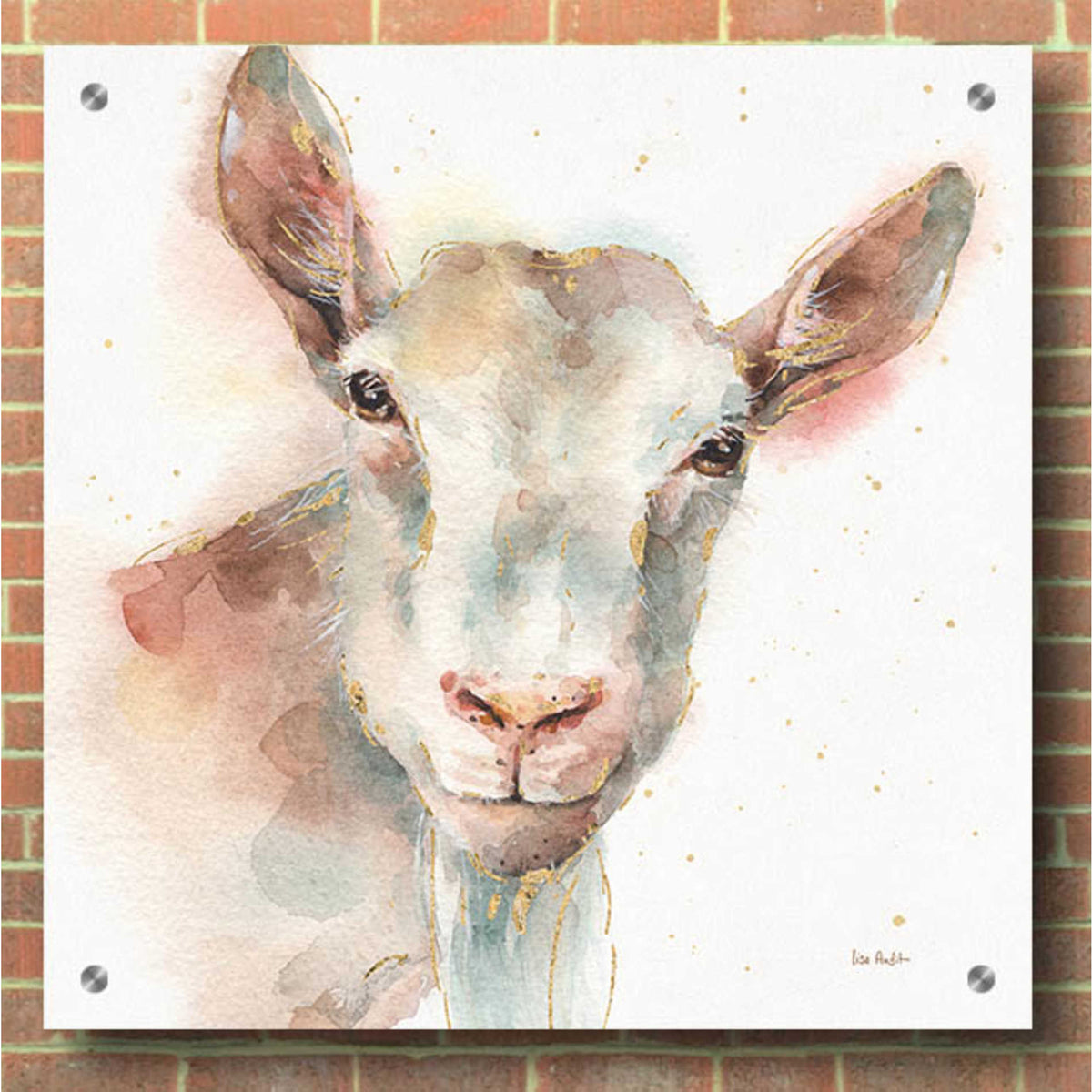 Epic Art 'Farm Friends I' by Lisa Audit, Acrylic Glass Wall Art,36x36