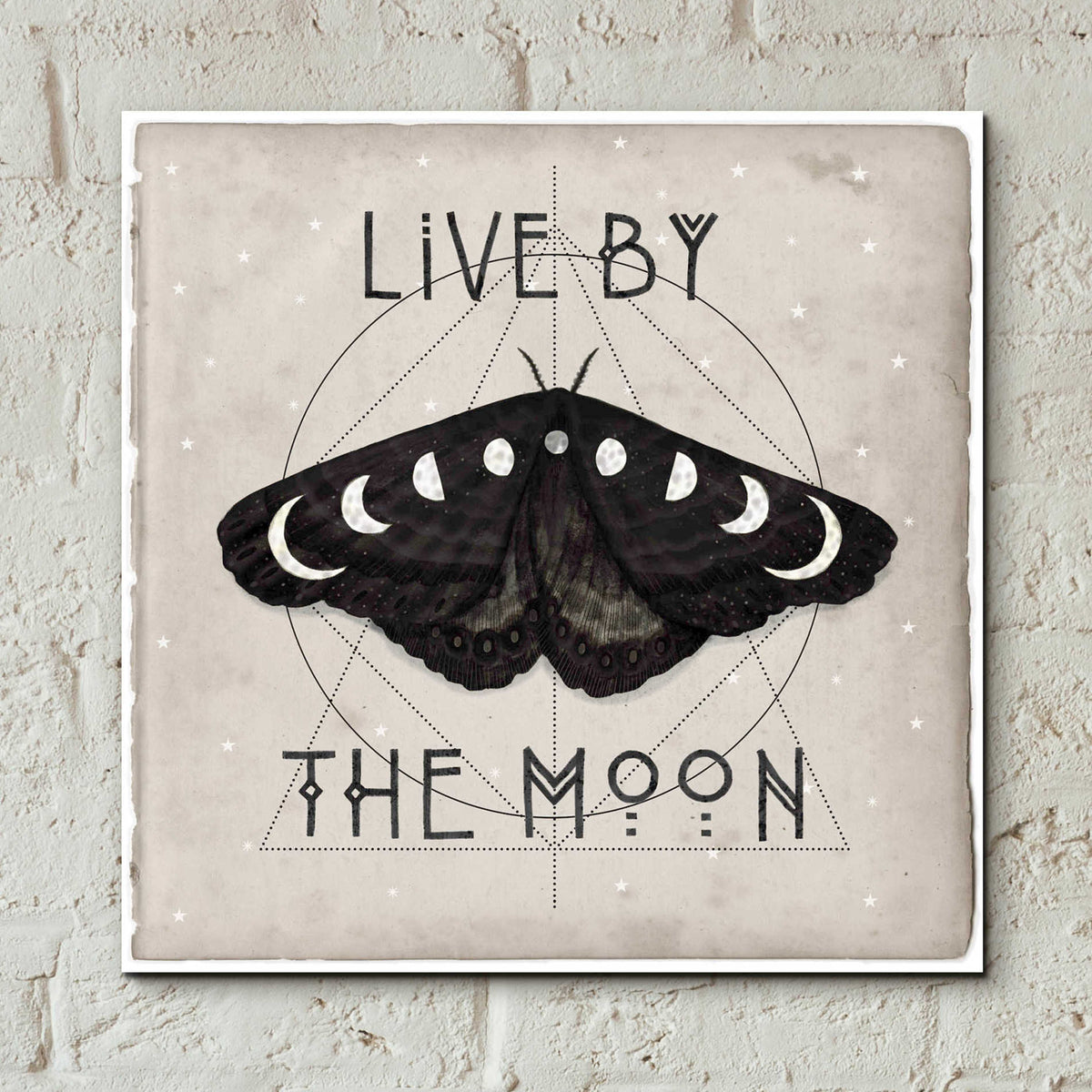 Epic Art 'Live by the Moon I' by Victoria Borges, Acrylic Wall Art,12x12