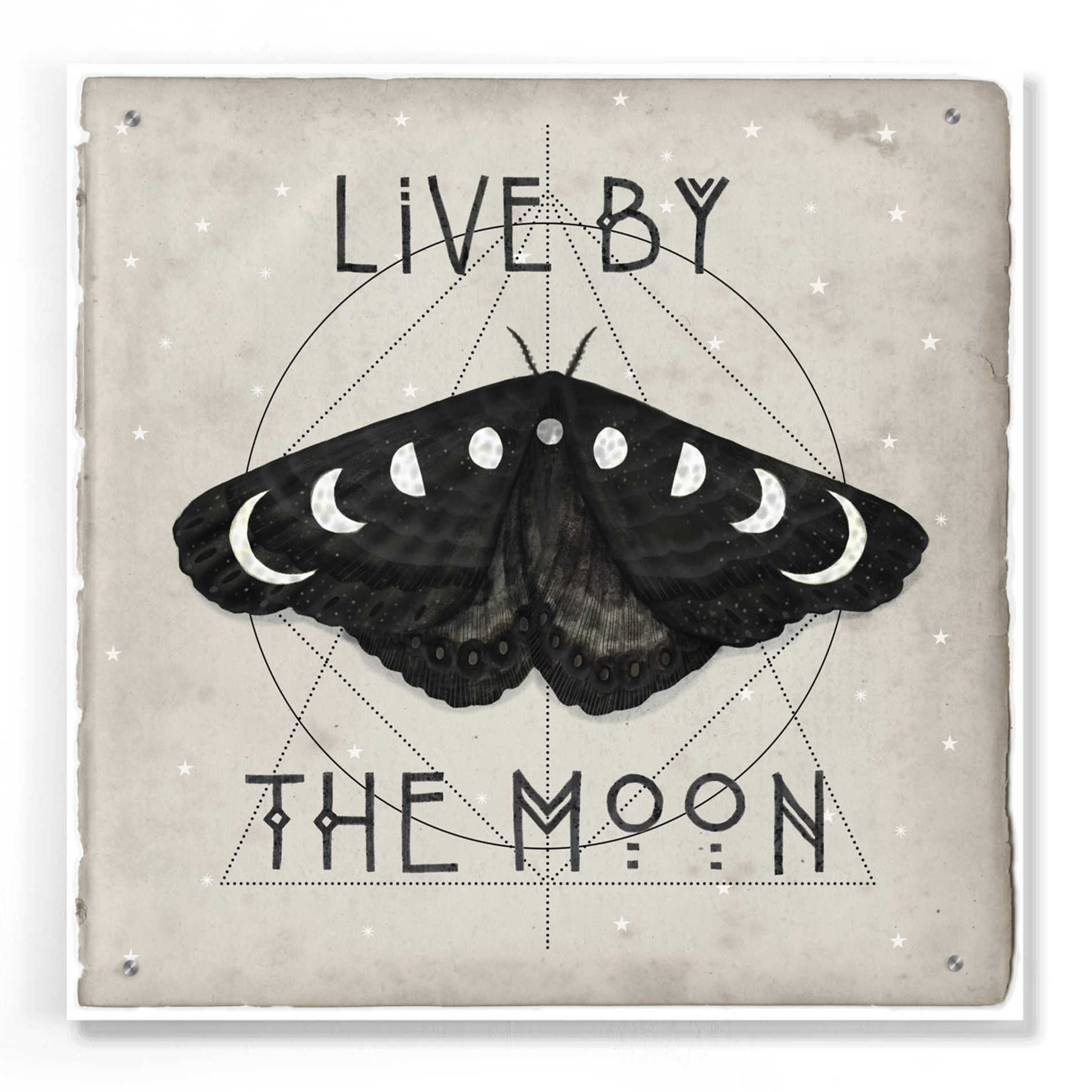 Epic Art 'Live by the Moon I' by Victoria Borges, Acrylic Wall Art,24x24