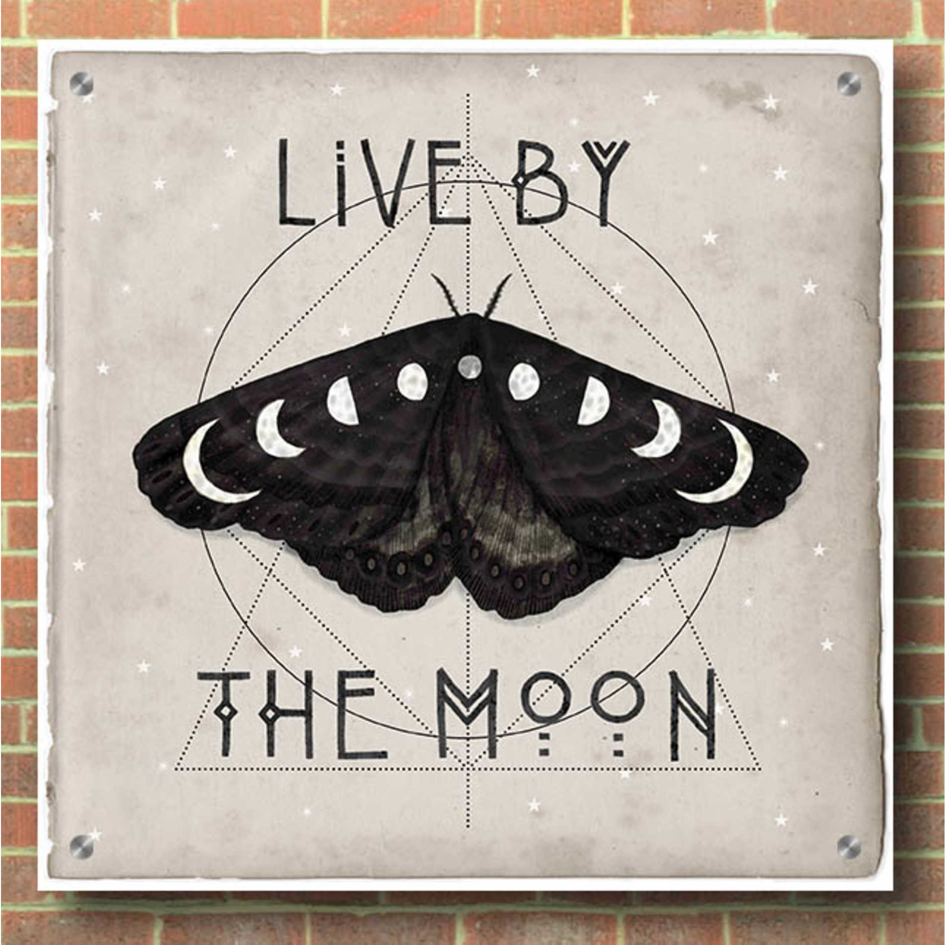 Epic Art 'Live by the Moon I' by Victoria Borges, Acrylic Wall Art,36x36