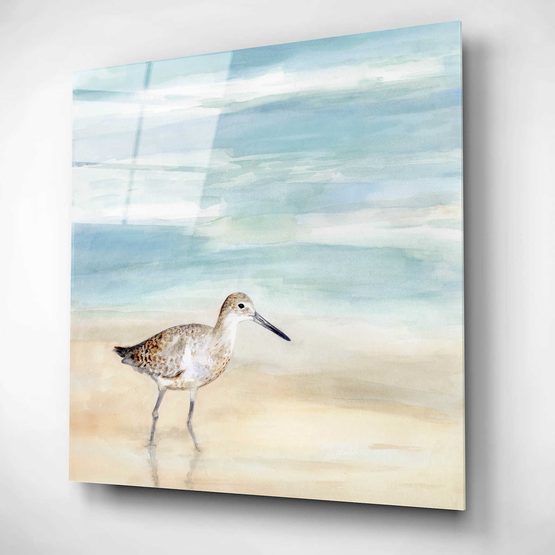 Epic Art 'Speckled Willet I' by Victoria Borges, Acrylic Wall Art,12x12