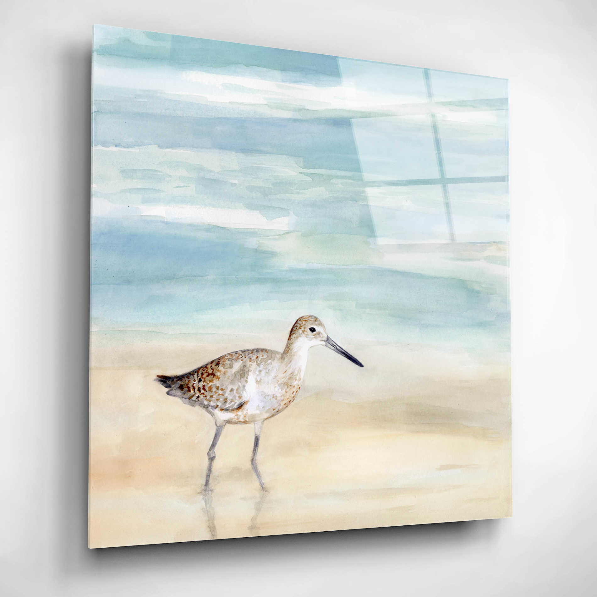 Epic Art 'Speckled Willet I' by Victoria Borges, Acrylic Wall Art,12x12