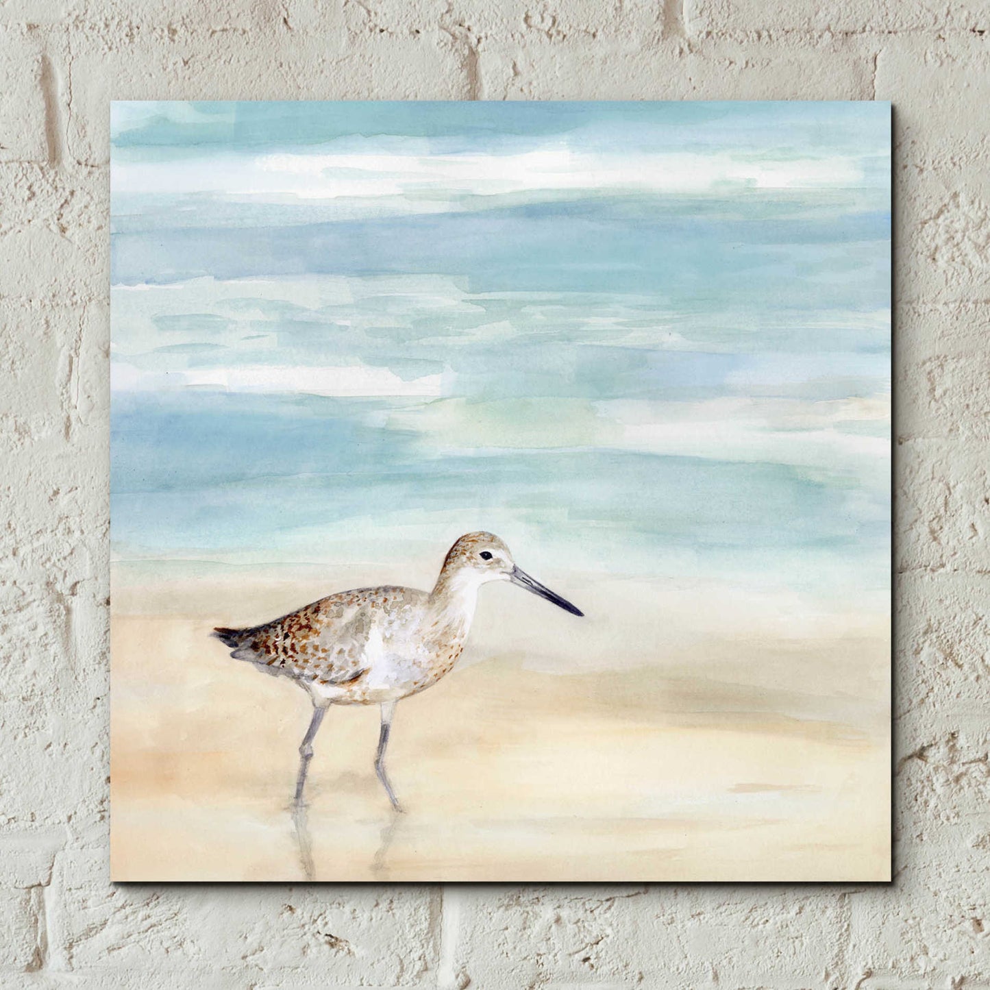 Epic Art 'Speckled Willet I' by Victoria Borges, Acrylic Wall Art,12x12