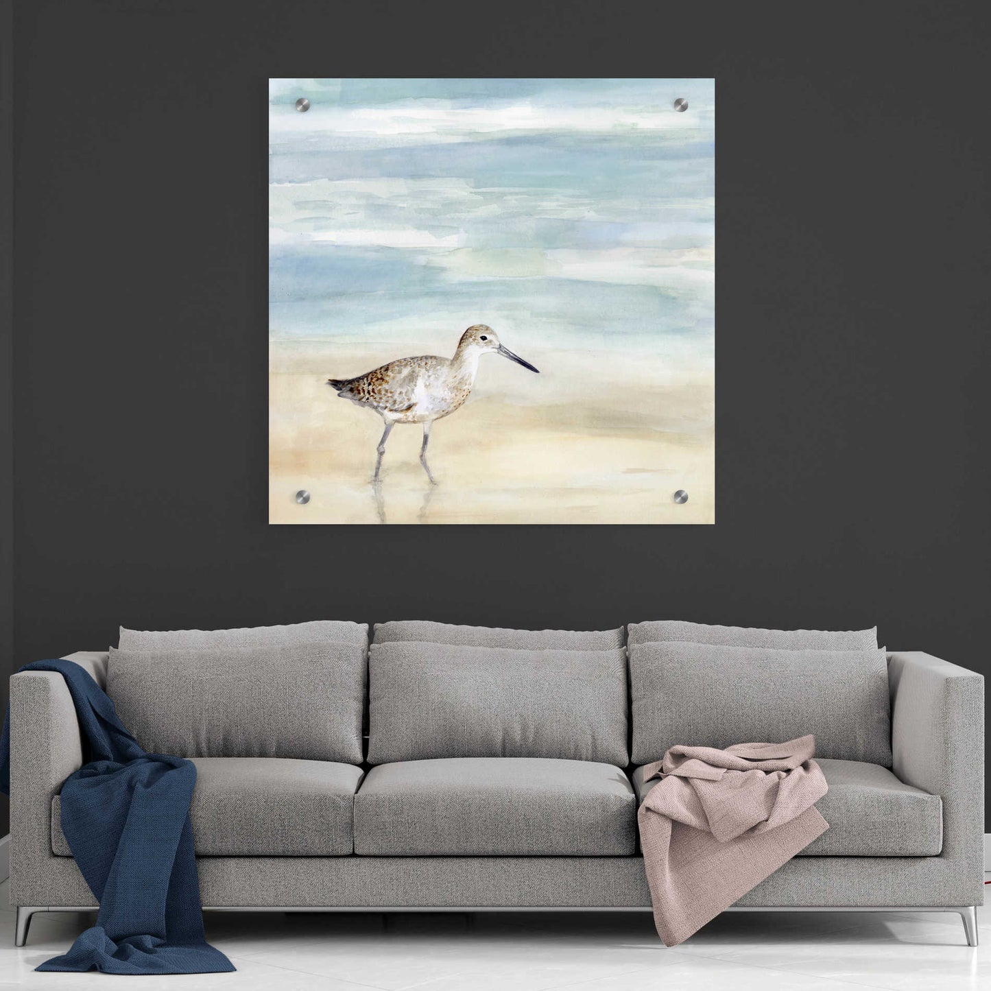 Epic Art 'Speckled Willet I' by Victoria Borges, Acrylic Wall Art,36x36