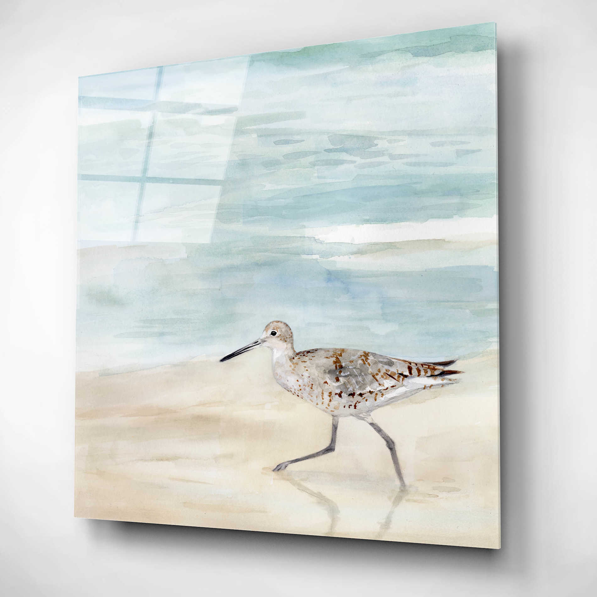 Epic Art 'Speckled Willet II' by Victoria Borges, Acrylic Wall Art,12x12