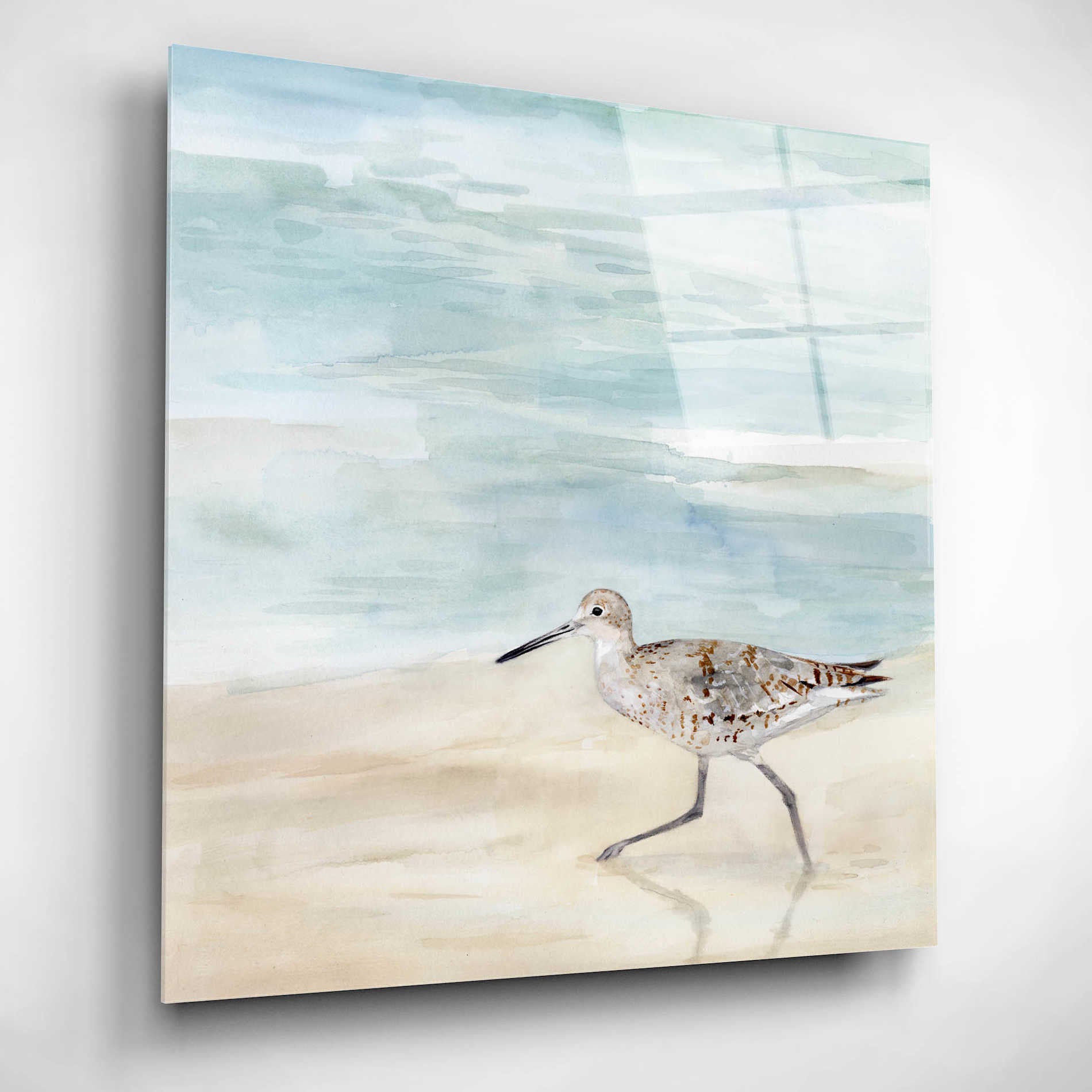 Epic Art 'Speckled Willet II' by Victoria Borges, Acrylic Wall Art,12x12