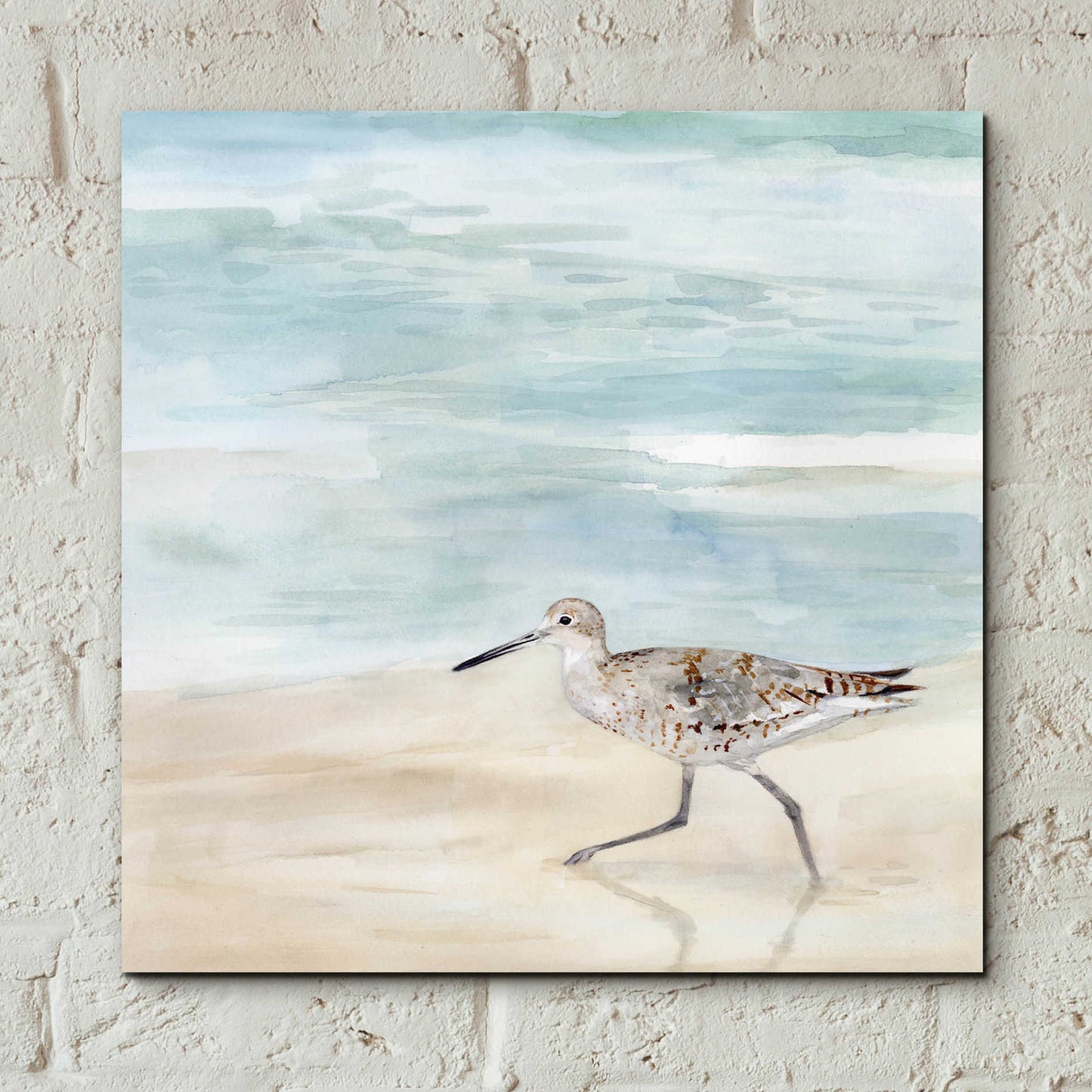 Epic Art 'Speckled Willet II' by Victoria Borges, Acrylic Wall Art,12x12