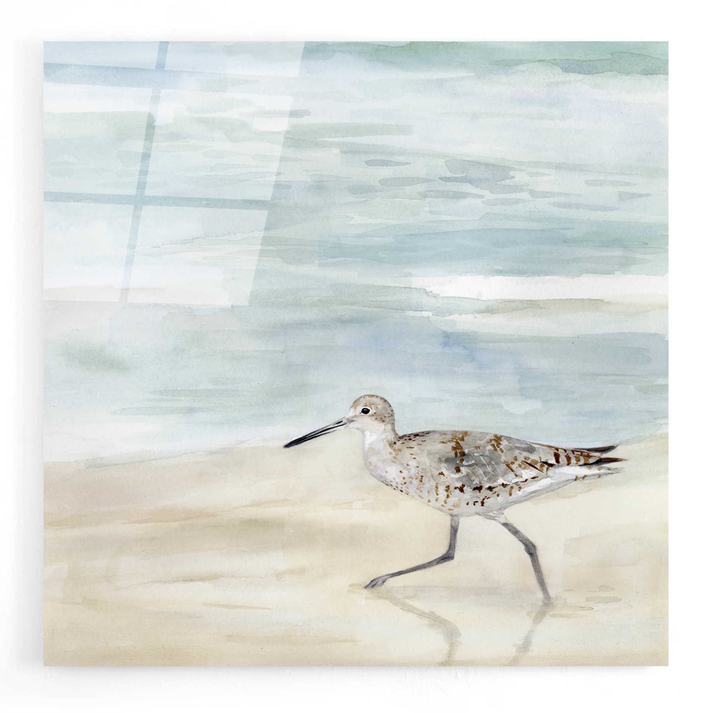 Epic Art 'Speckled Willet II' by Victoria Borges, Acrylic Wall Art,12x12