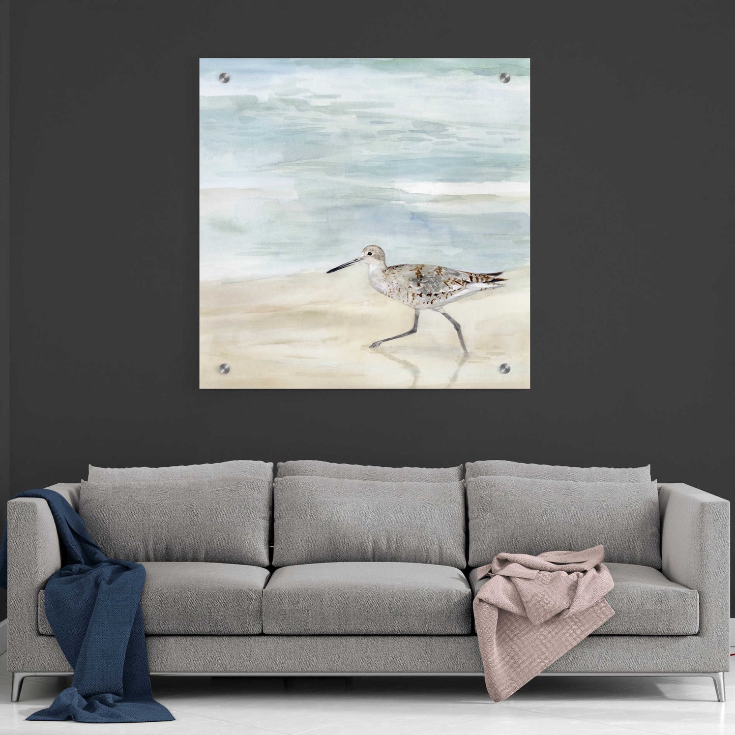 Epic Art 'Speckled Willet II' by Victoria Borges, Acrylic Wall Art,36x36