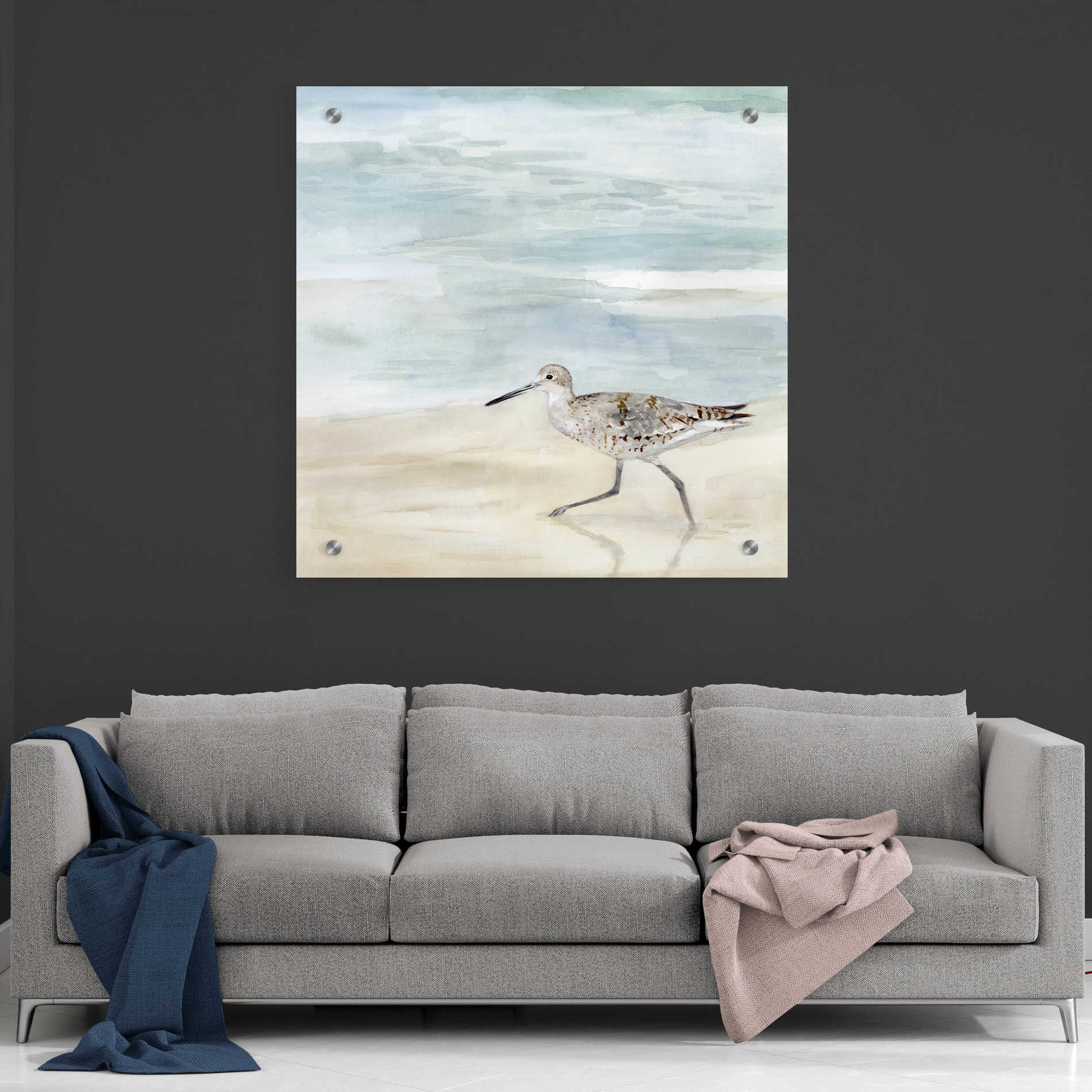 Epic Art 'Speckled Willet II' by Victoria Borges, Acrylic Wall Art,36x36