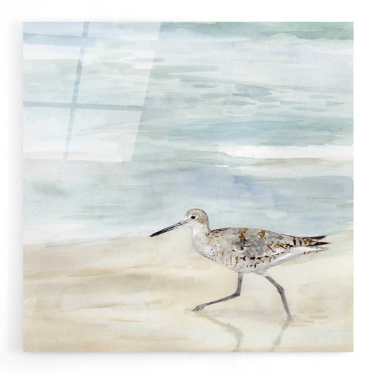 Epic Art 'Speckled Willet II' by Victoria Borges, Acrylic Wall Art