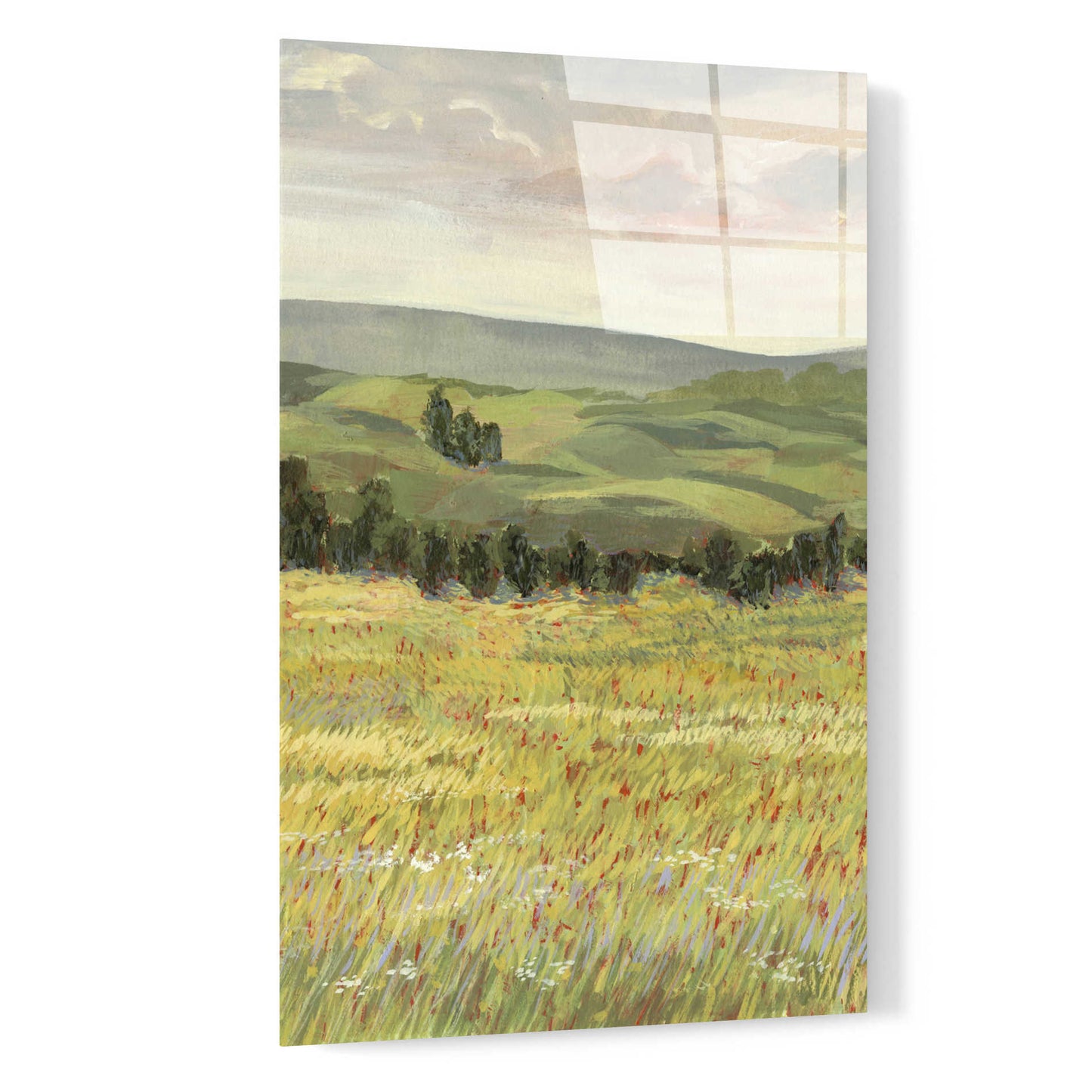 Epic Art 'Morning Meadow I' by Victoria Borges, Acrylic Wall Art,16x24